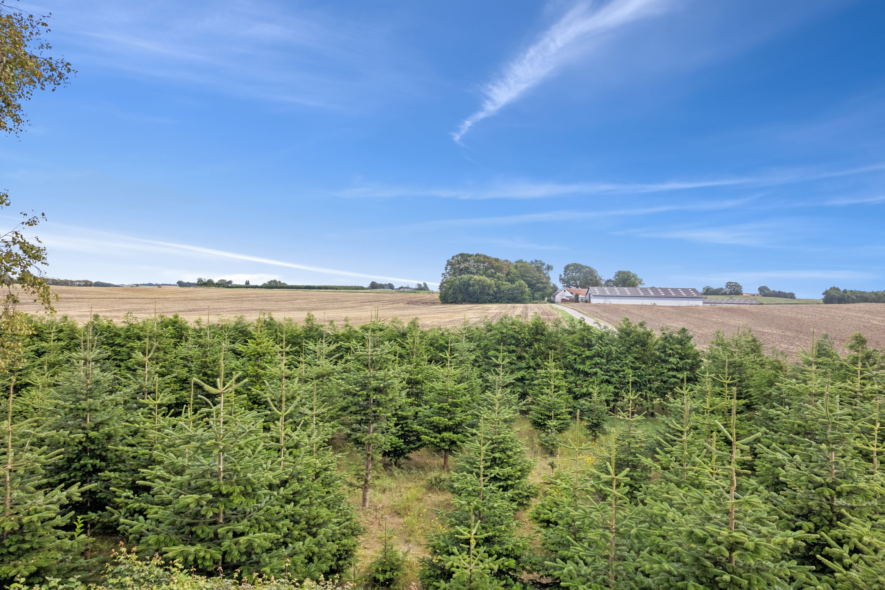 Fremhævet udsigt billede i fuldskærmstilstand. Billede af Runevej 6, Ll Rørbæk, 9500 Hobro