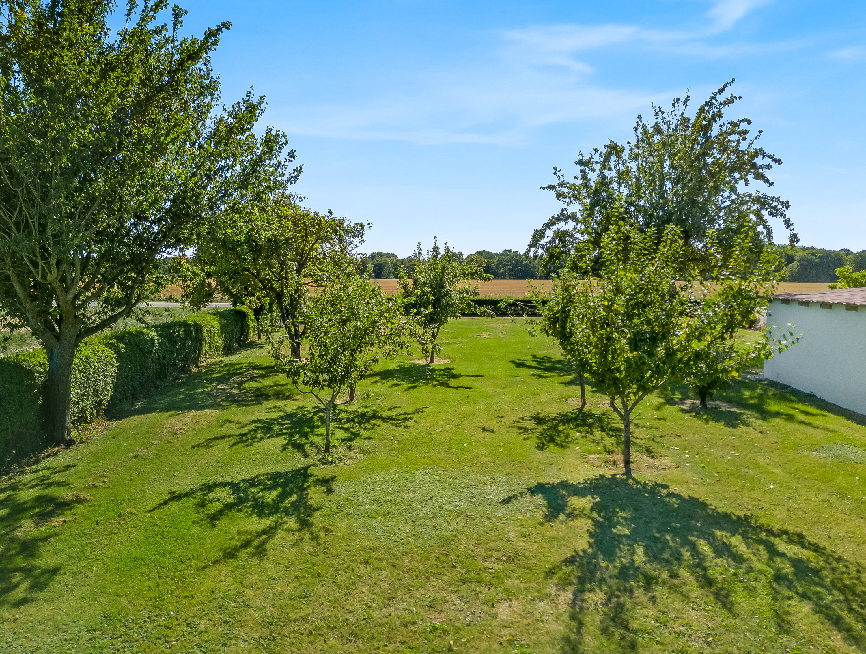 Fremhævet have billede i fuldskærmstilstand. Billede af Engestoftevej 156, Engestofte, 4930 Maribo