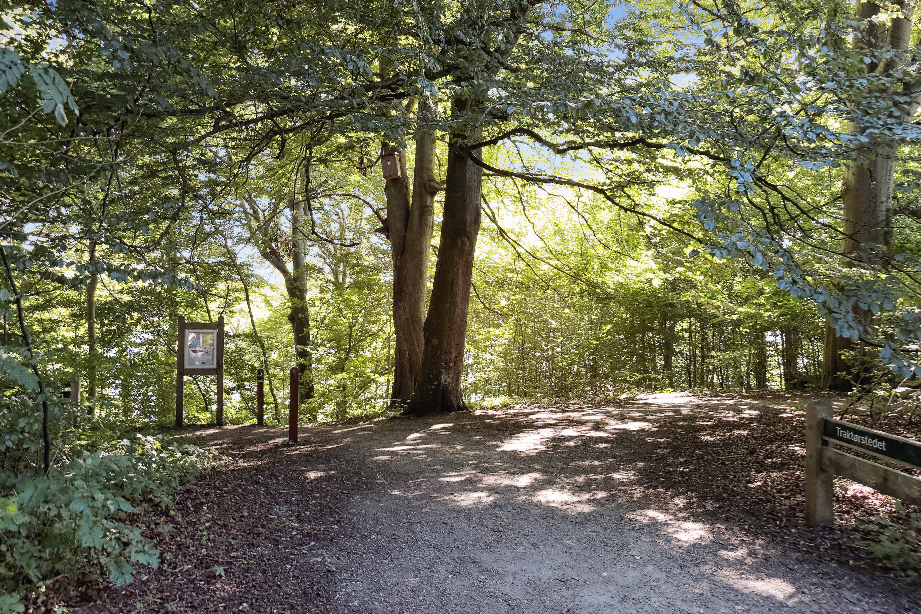 Fremhævet have billede i fuldskærmstilstand. Billede af Møllebjergvej 25, Valsømagle, 4174 Jystrup Midtsj