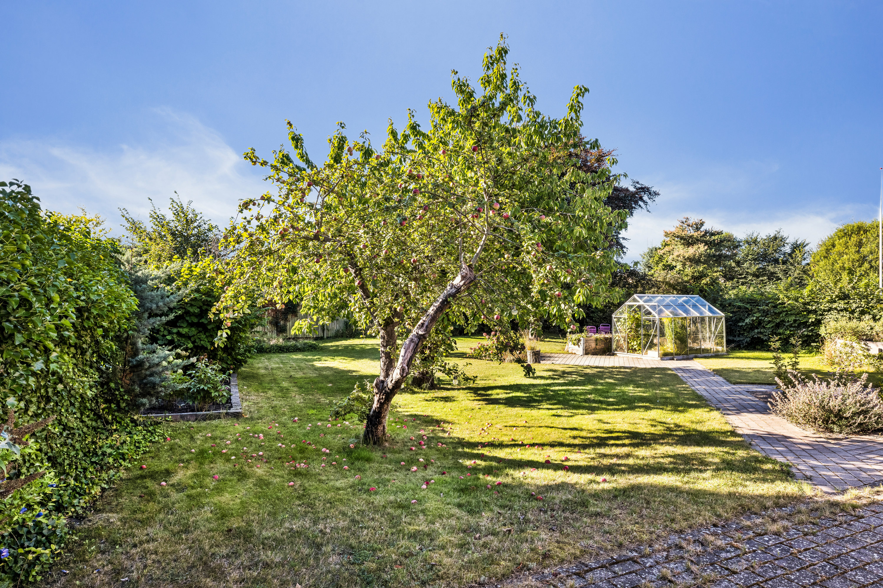 Fremhævet have billede i fuldskærmstilstand. Billede af Dr Louise Vej 11, 8500 Grenaa