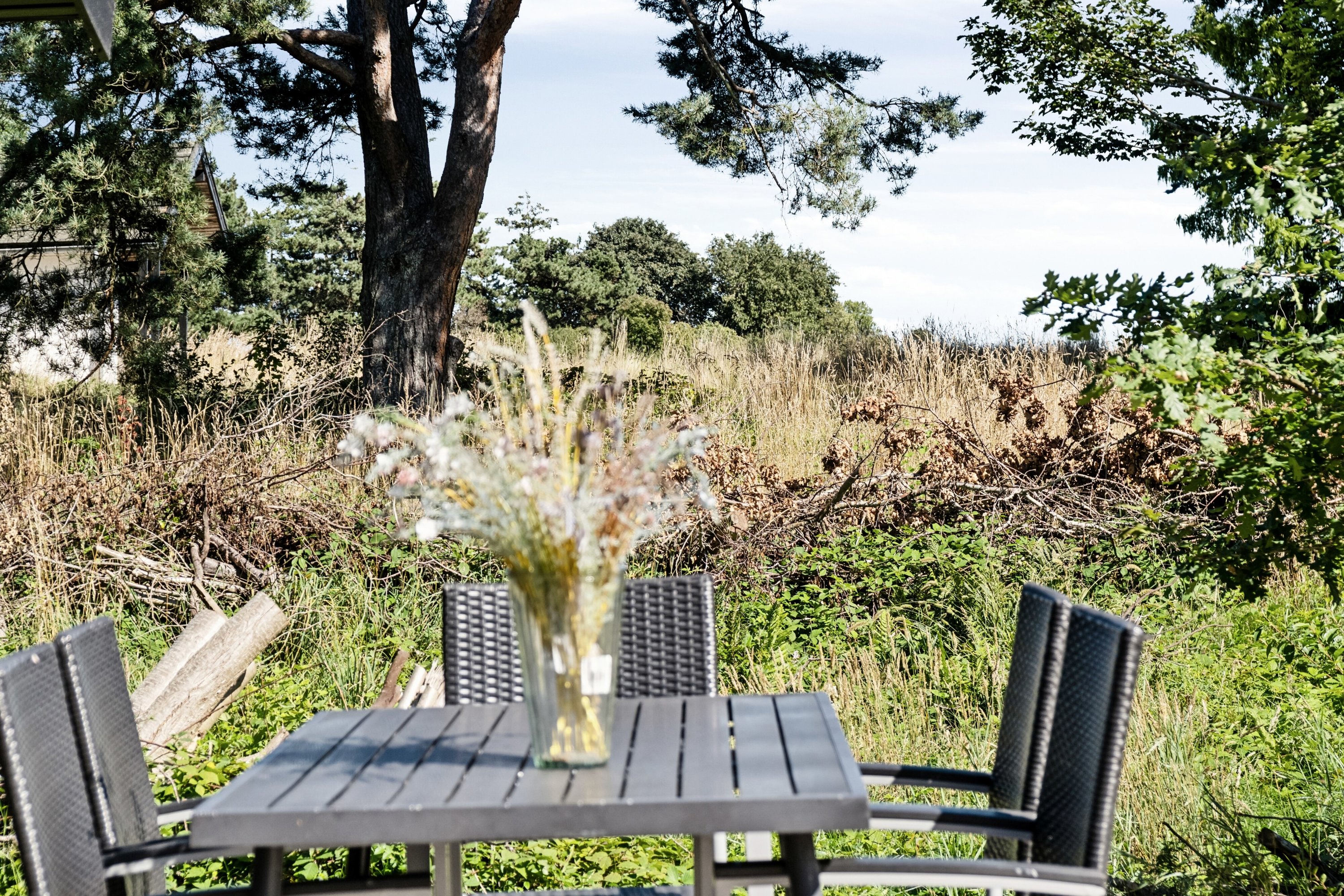 Fremhævet terrasse billede i fuldskærmstilstand. Billede af Sandlodsvej 36, 4581 Rørvig