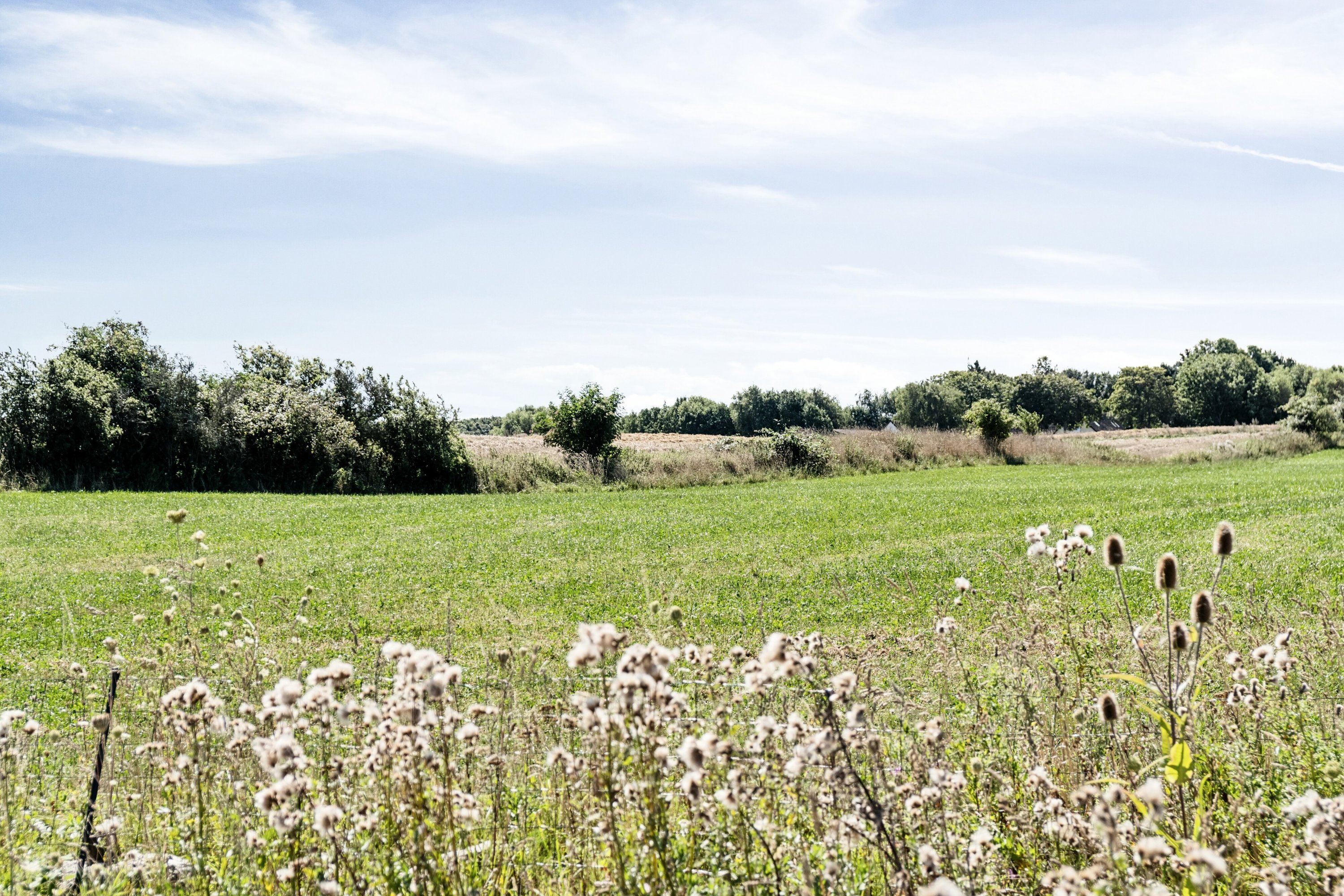 Fremhævet udendørs billede i fuldskærmstilstand. Billede af Rejenettet 8, Lumsås, 4500 Nykøbing Sj