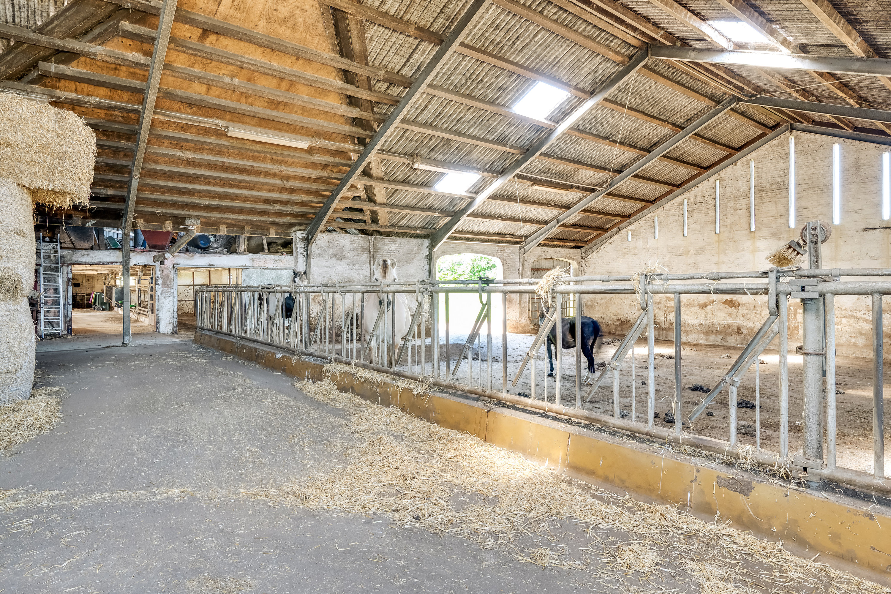 Fremhævet værelse billede i fuldskærmstilstand. Billede af Gammel Toftlundvej 8, Rurup, 6520 Toftlund