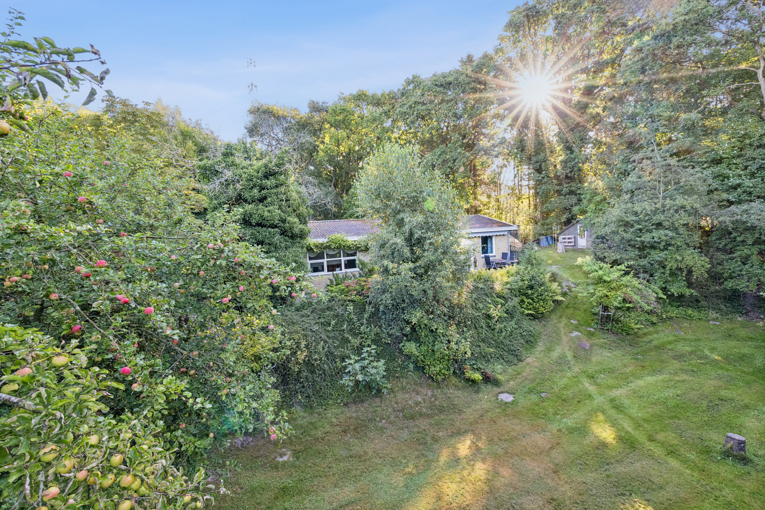 Miniaturebillede 1: have. Billede af Kærvejen 6, Fjellerup Strand, 8585 Glesborg