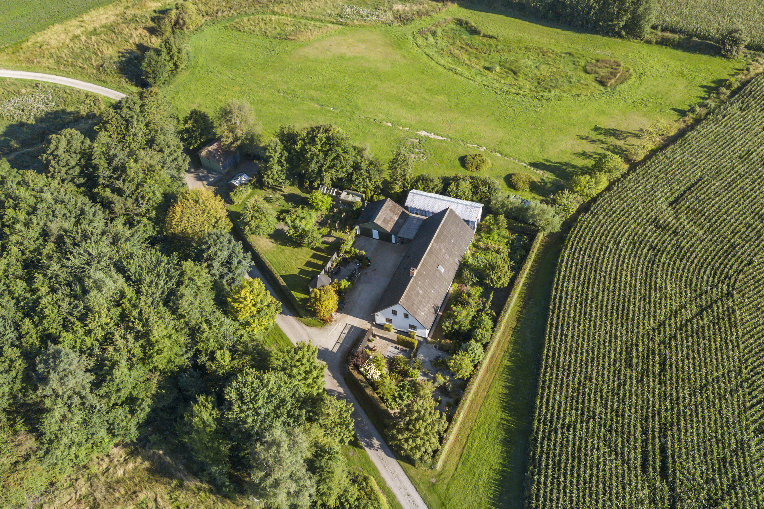 Miniaturebillede 1: luftfoto. Billede af Viborgvej 56, St Binderup, 9600 Aars