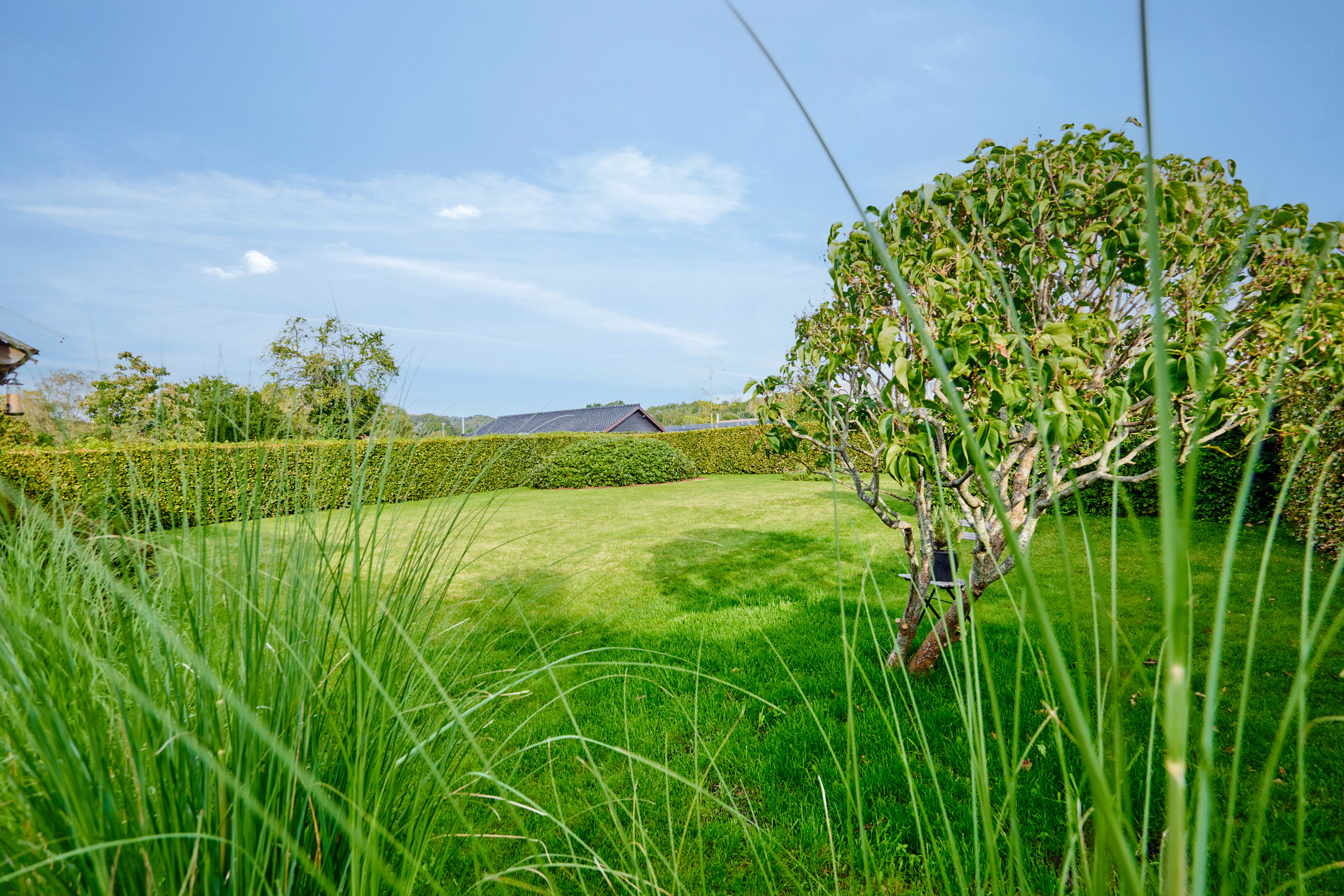 Fremhævet  billede i fuldskærmstilstand. Billede af Silkeborgvej 682, 8220 Brabrand