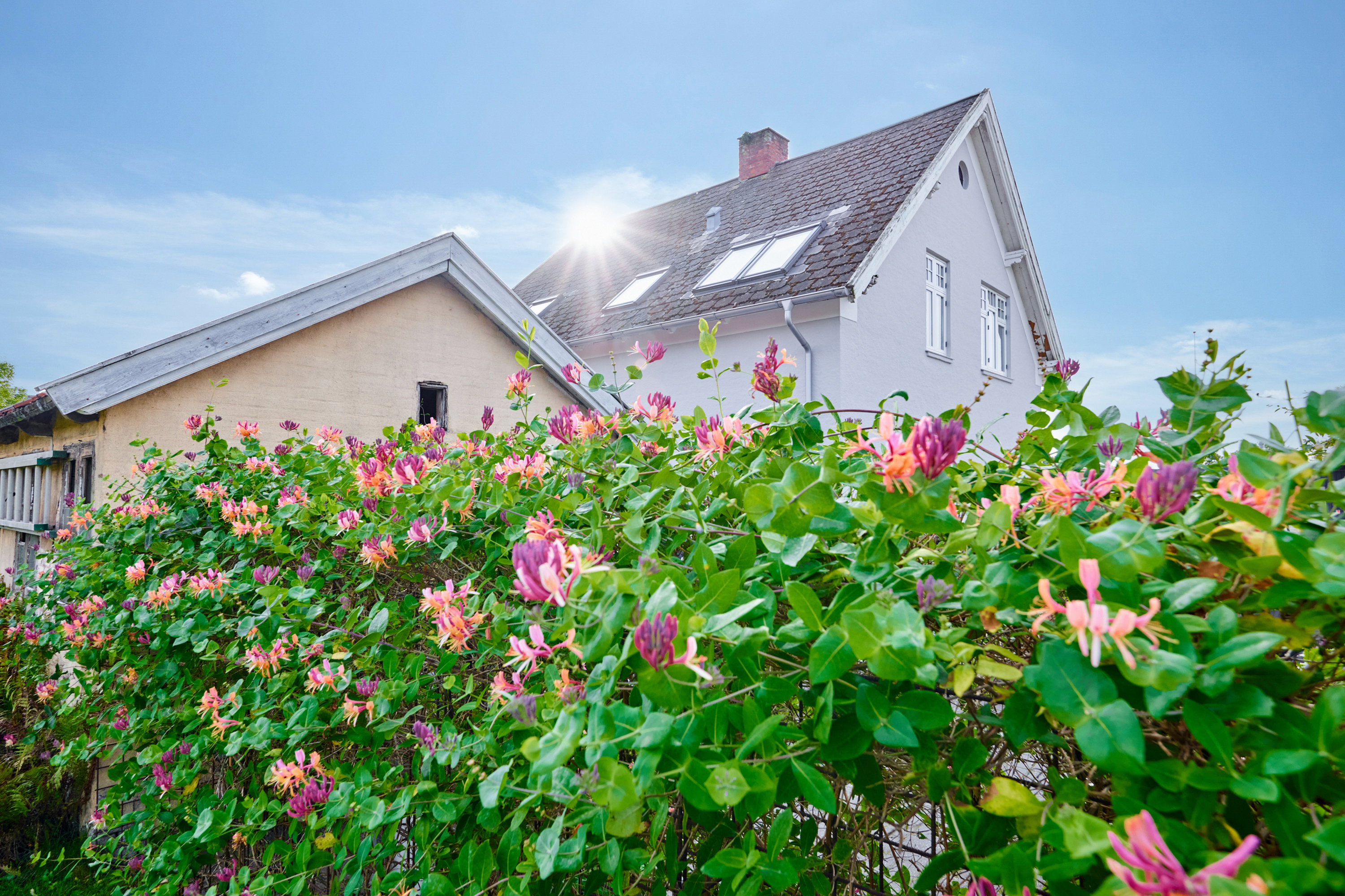 Fremhævet  billede i fuldskærmstilstand. Billede af Silkeborgvej 682, 8220 Brabrand