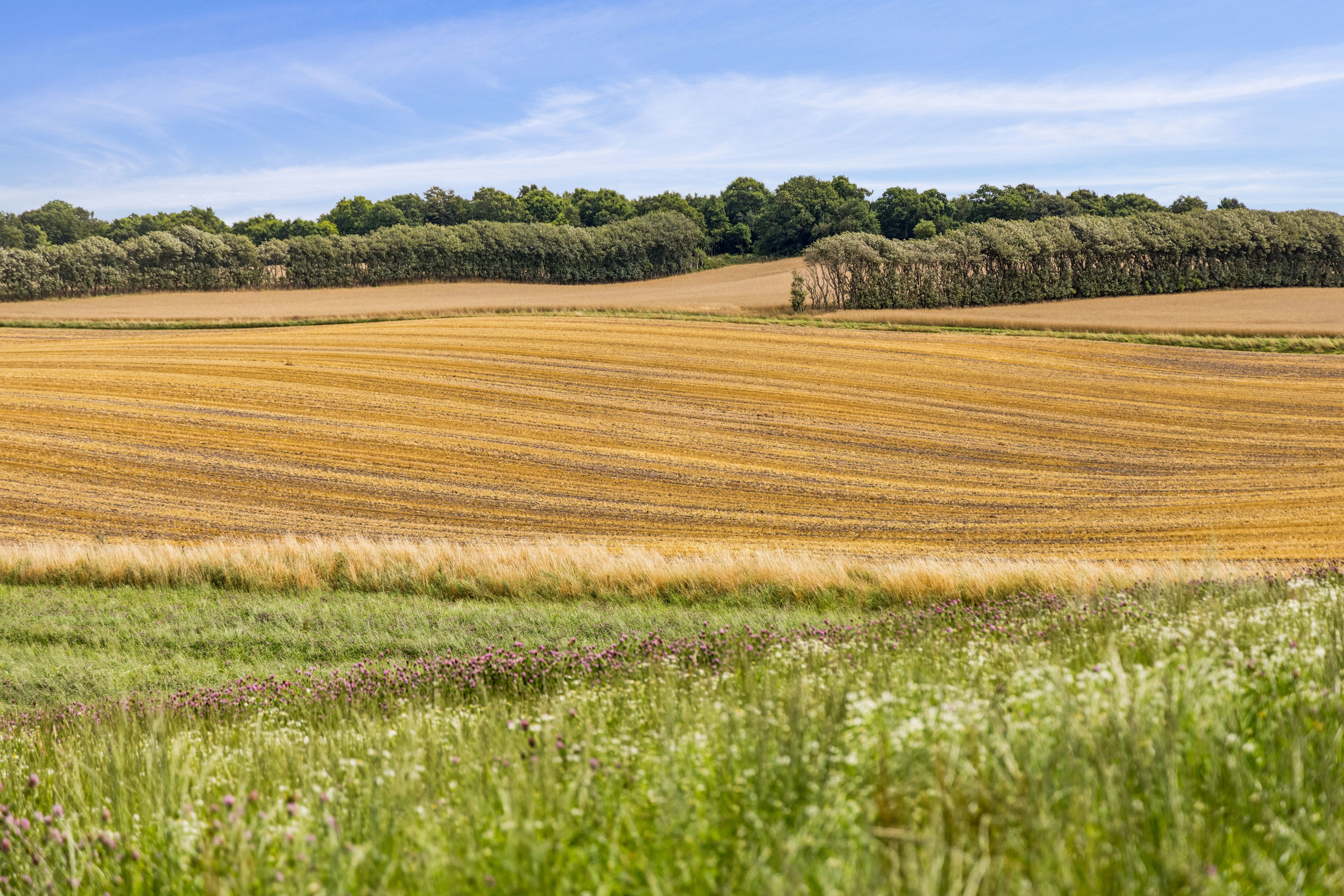 Fremhævet luftfoto billede i fuldskærmstilstand. Billede af Tulsagervej 16, 9240 Nibe