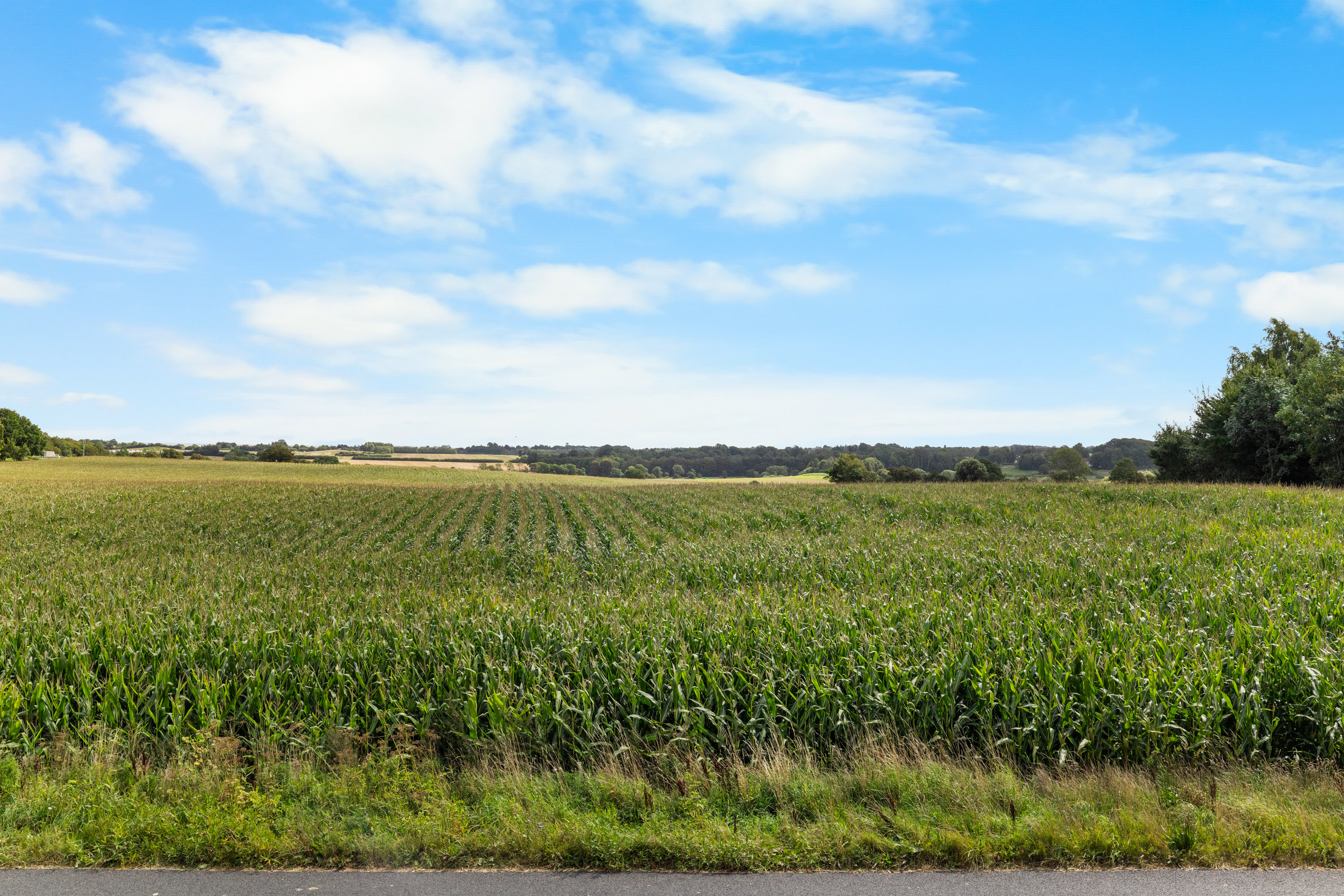 Fremhævet udsigt billede i fuldskærmstilstand. Billede af Strandvejen 38, Vester Åby, 5600 Faaborg
