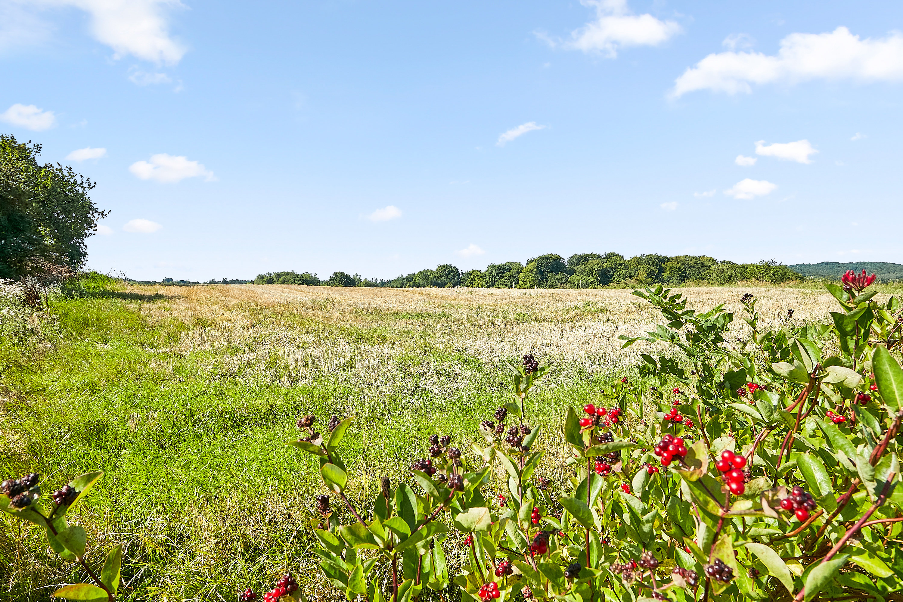 Miniaturebillede 1: . Billede af Søvejen 23C, Vestbirk, 8752 Østbirk