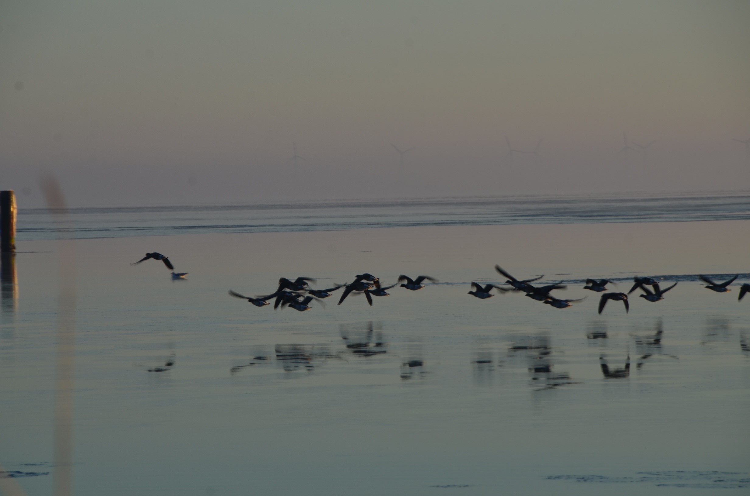Fremhævet  billede i fuldskærmstilstand. Billede af Strandgade 44, Hou, 8300 Odder