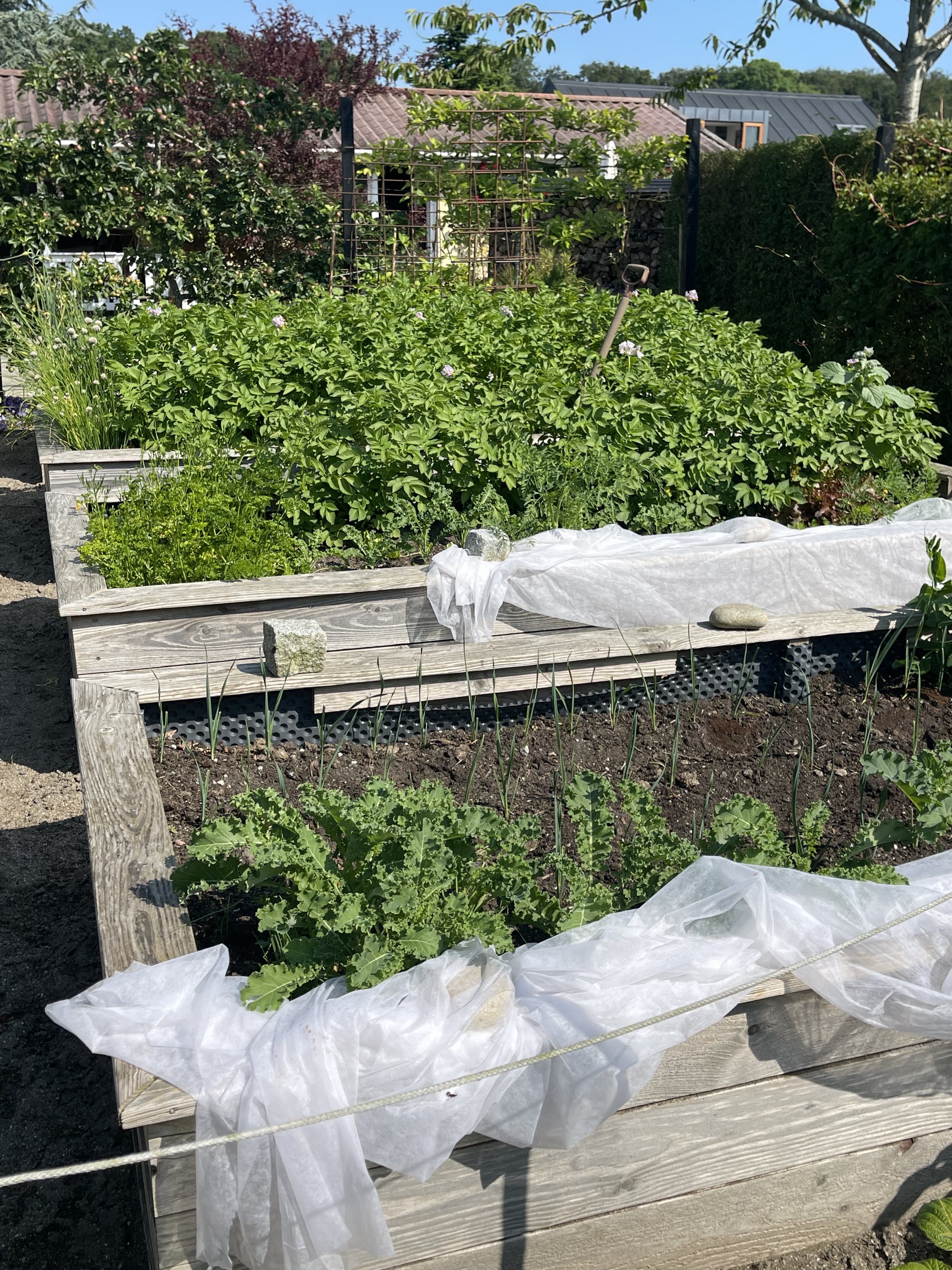 Fremhævet  billede i fuldskærmstilstand. Billede af Strandgade 44, Hou, 8300 Odder