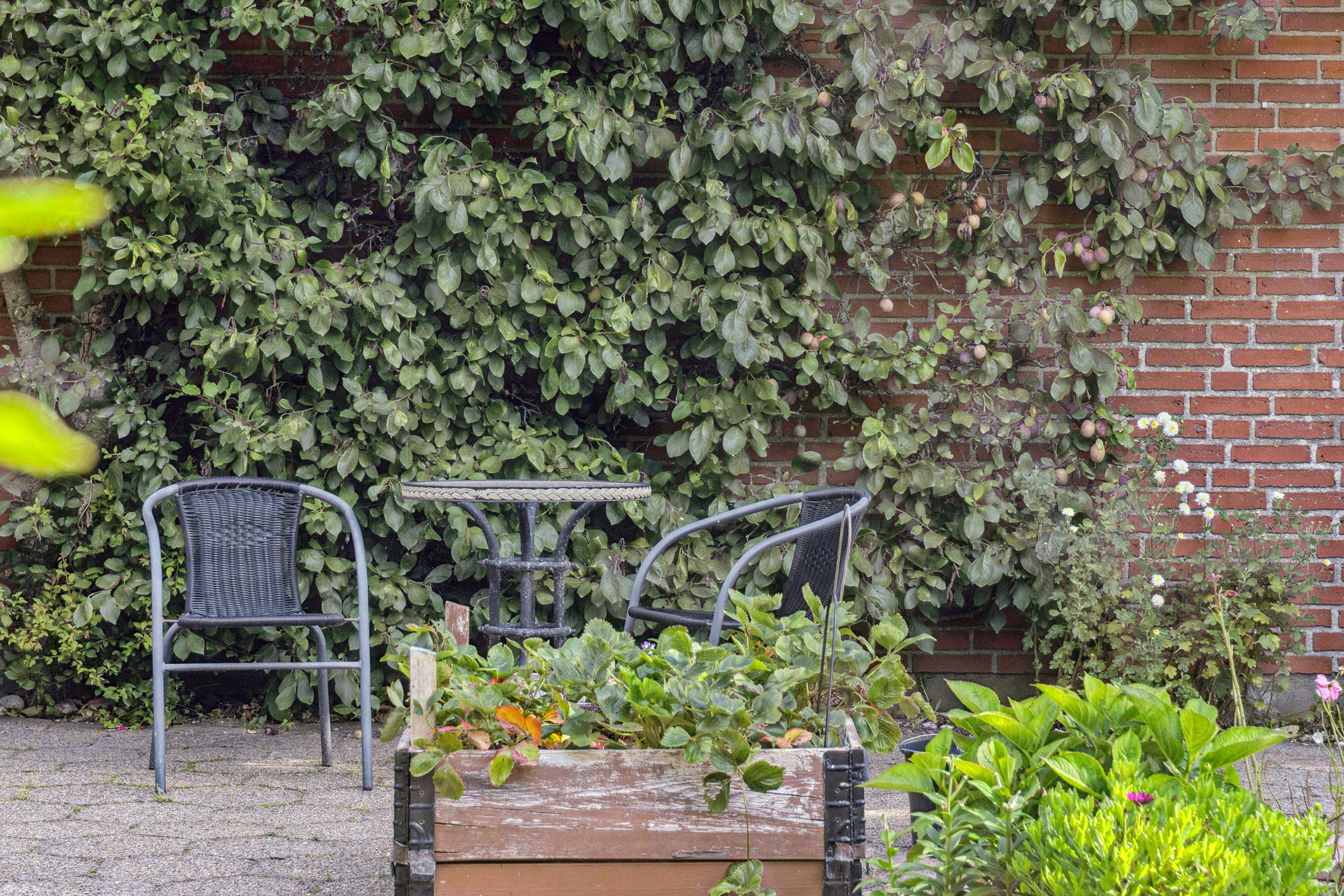 Fremhævet udendørs billede i fuldskærmstilstand. Billede af Ydbyvej 160, 7760 Hurup Thy