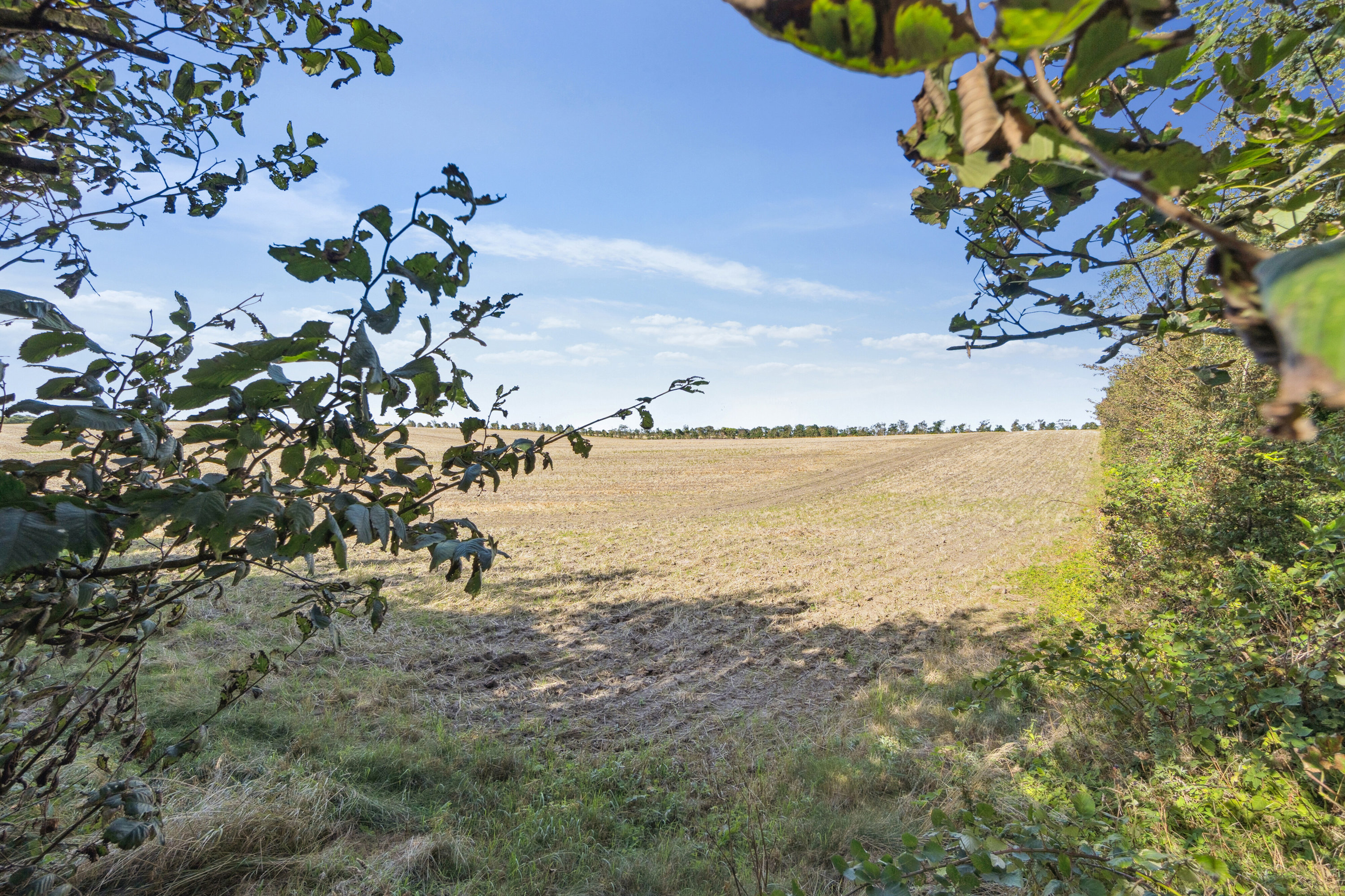 Fremhævet omgivelser billede i fuldskærmstilstand. Billede af Ydbyvej 160, 7760 Hurup Thy