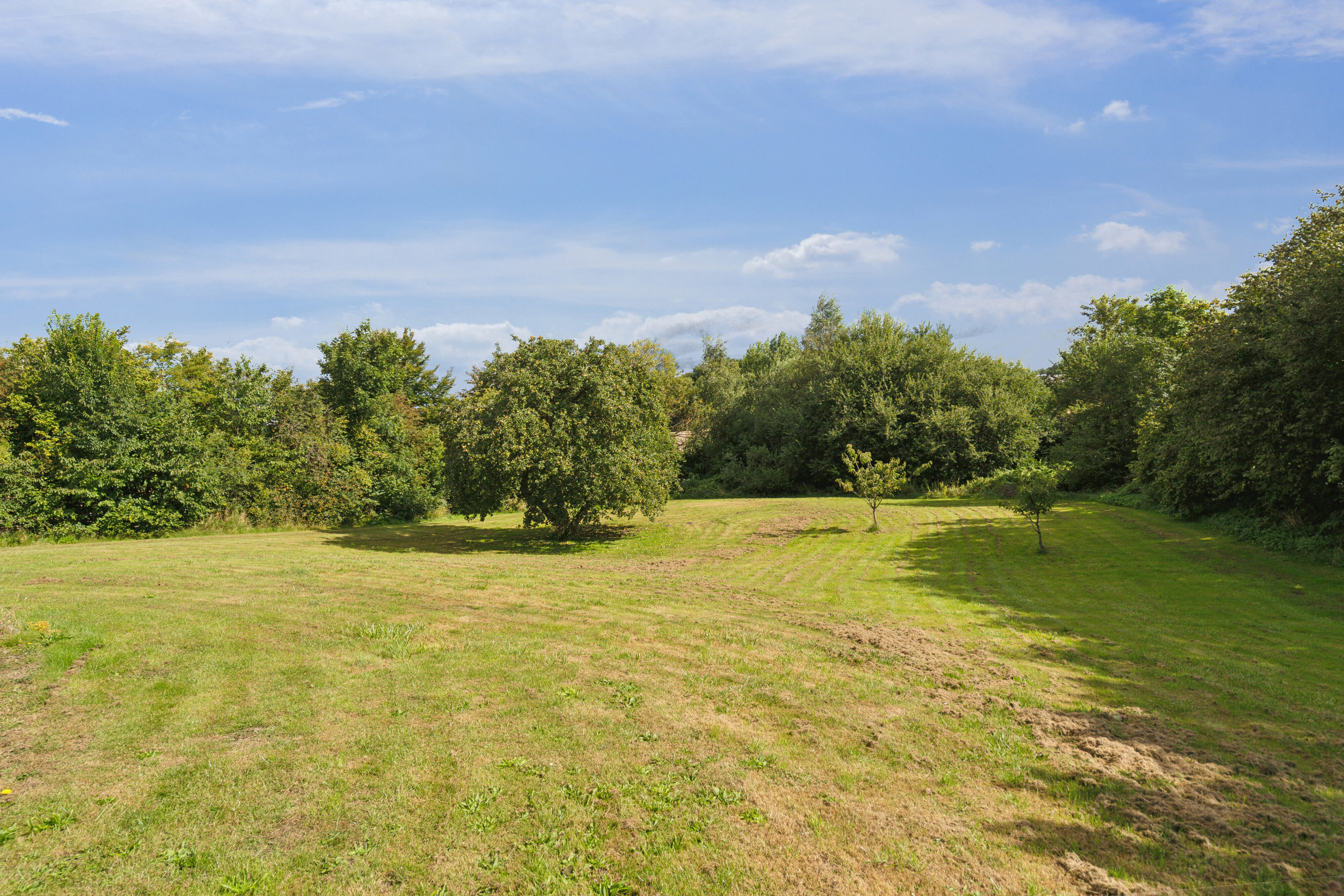 Fremhævet have billede i fuldskærmstilstand. Billede af Odensevej 38, 5853 Ørbæk