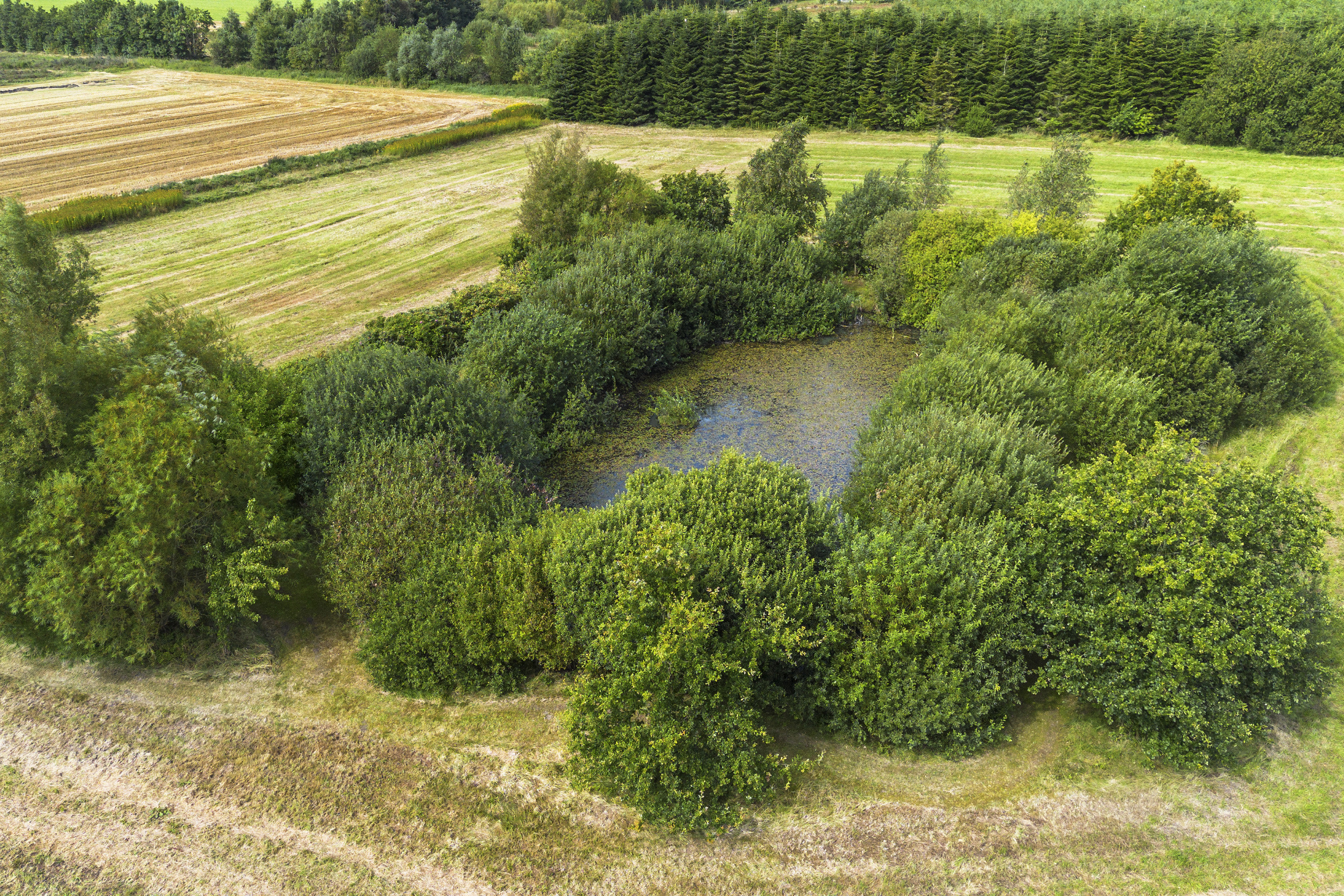 Fremhævet ejendommen billede i fuldskærmstilstand. Billede af Læborg Kirkevej 22, Nyby, 6600 Vejen