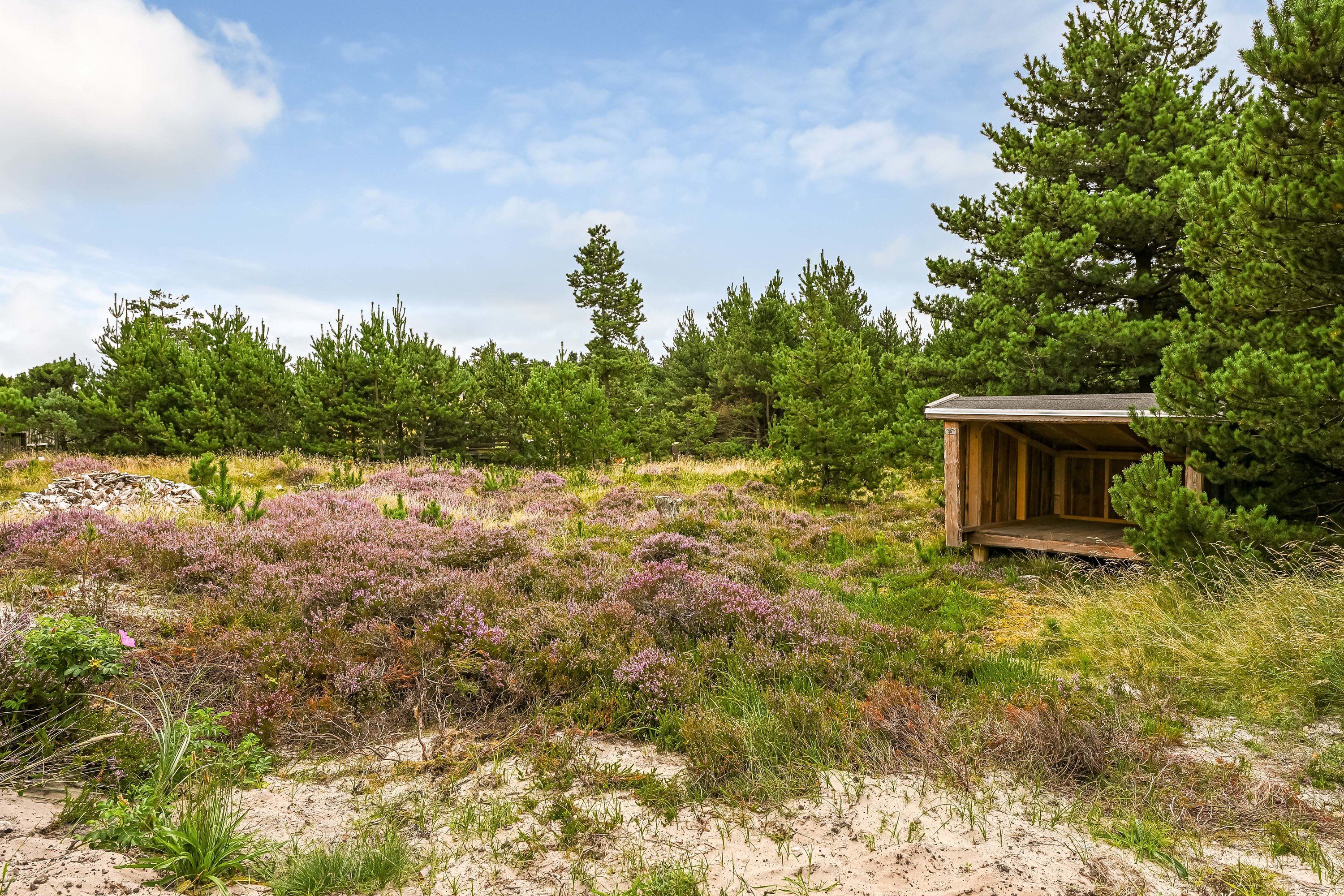 Fremhævet have billede i fuldskærmstilstand. Billede af Svinget 6, 6857 Blåvand