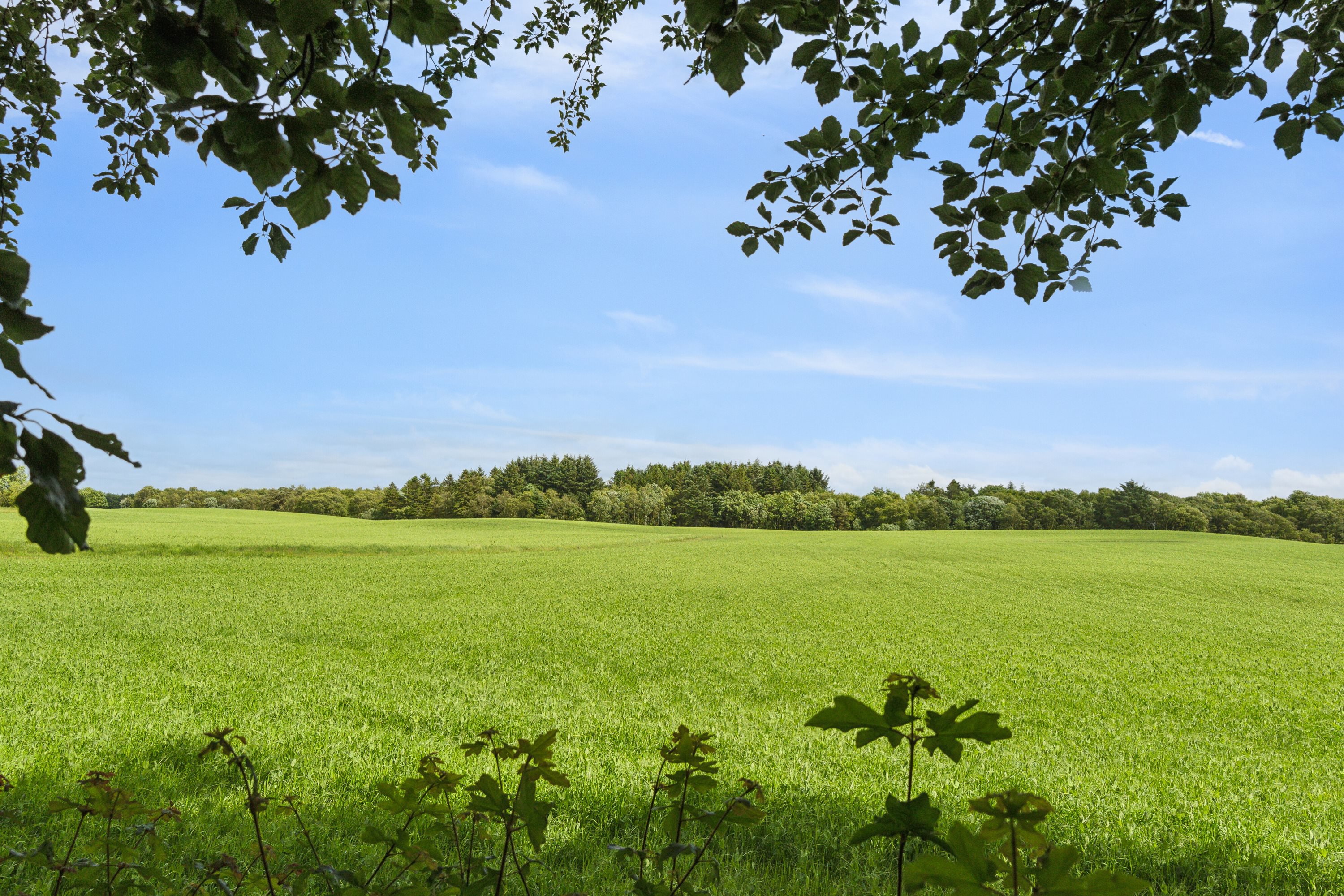 Fremhævet udsigt billede i fuldskærmstilstand. Billede af Ndr Truevej 33, True, 9500 Hobro