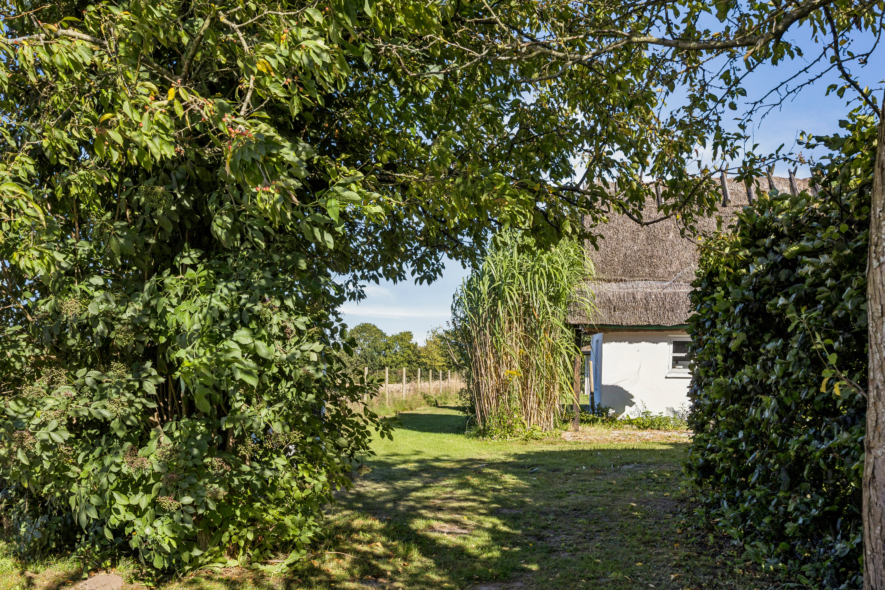 Fremhævet have billede i fuldskærmstilstand. Billede af Kobækvej 9, St Ladager, 4623 Lille Skensved