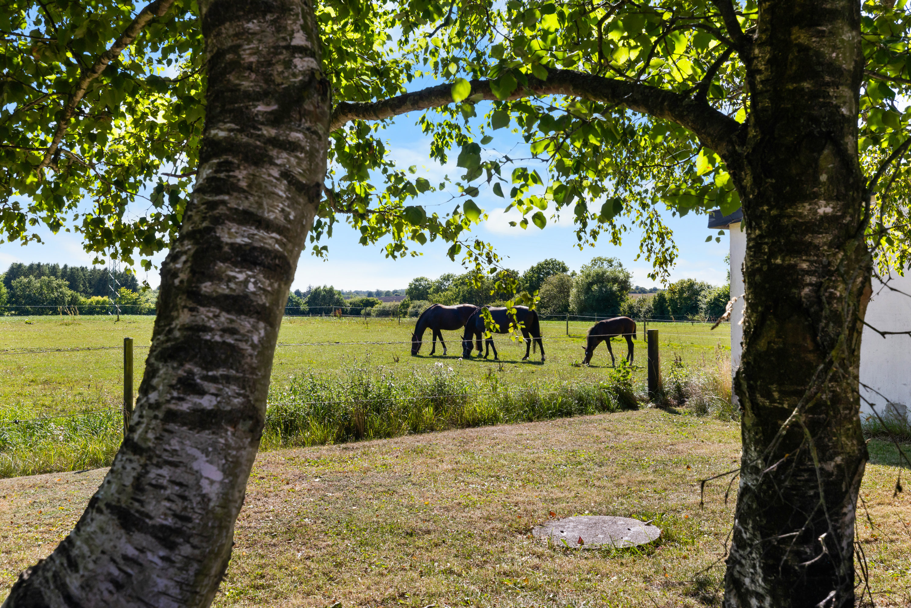 Miniaturebillede 1: udsigt. Billede af Lydingevej 6, Lydinge, 5750 Ringe