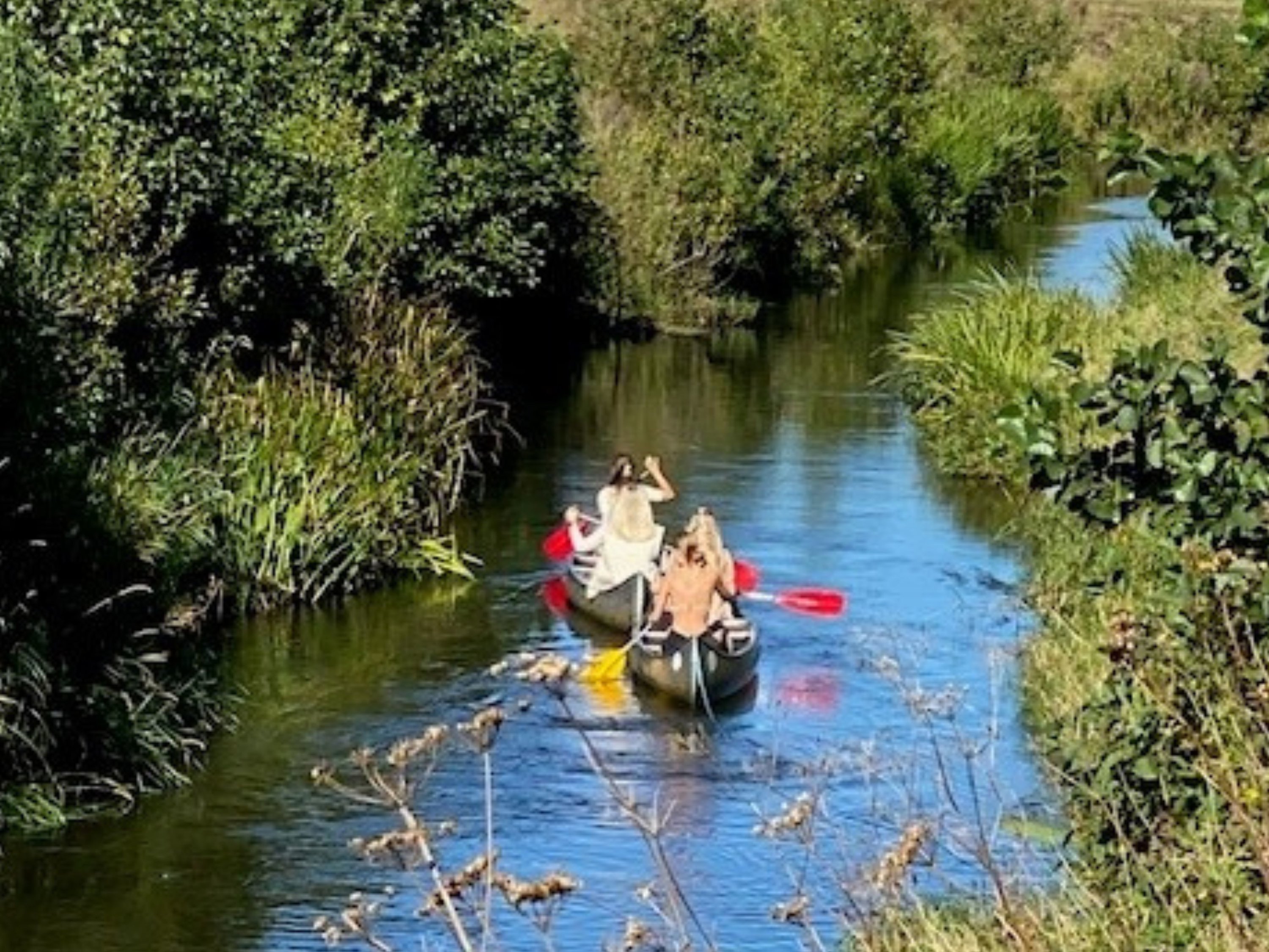 Fremhævet  billede i fuldskærmstilstand. Billede af Tverstedvej 25, Uggerby, 9800 Hjørring