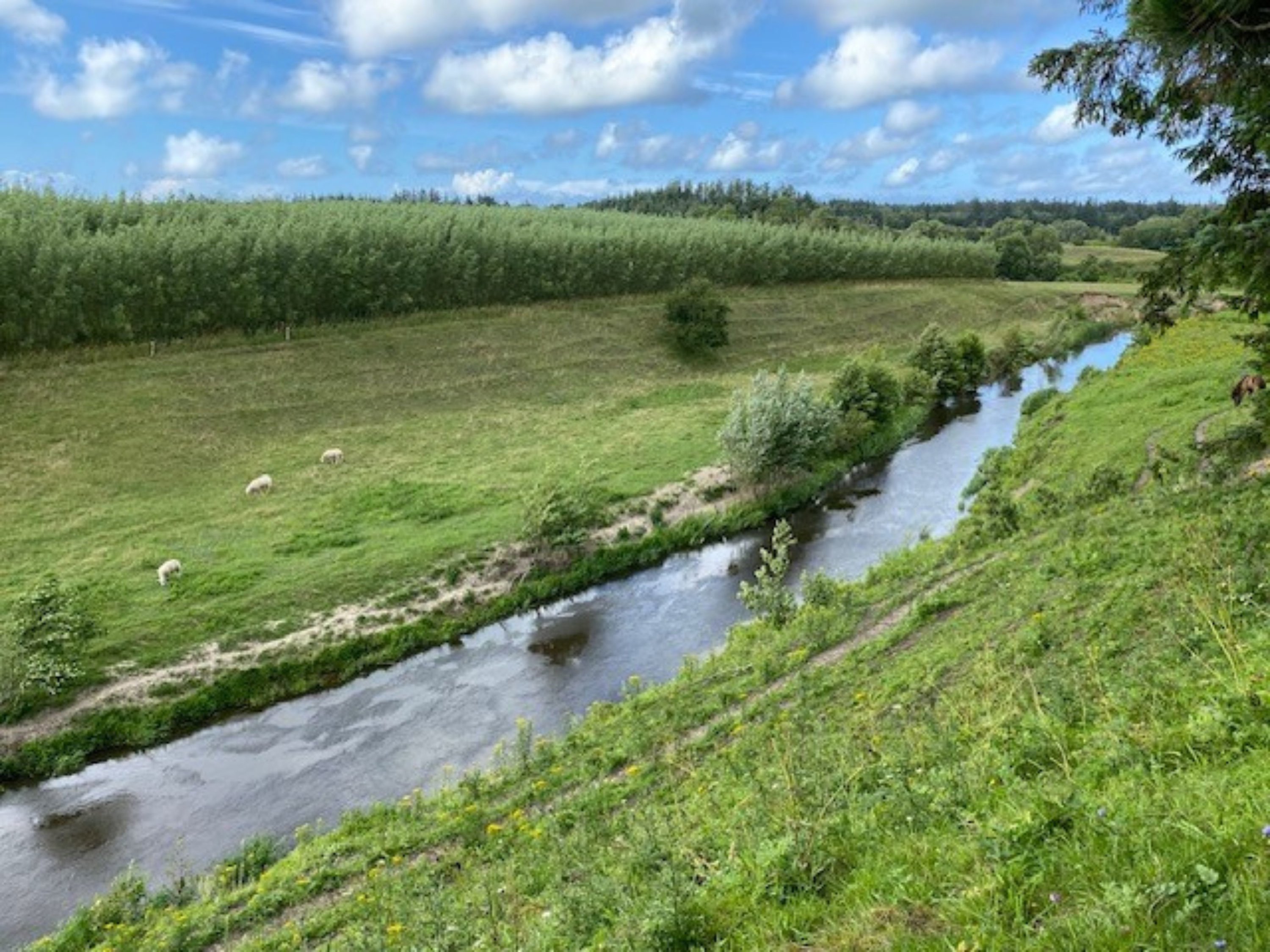 Miniaturebillede 2: . Billede af Tverstedvej 25, Uggerby, 9800 Hjørring