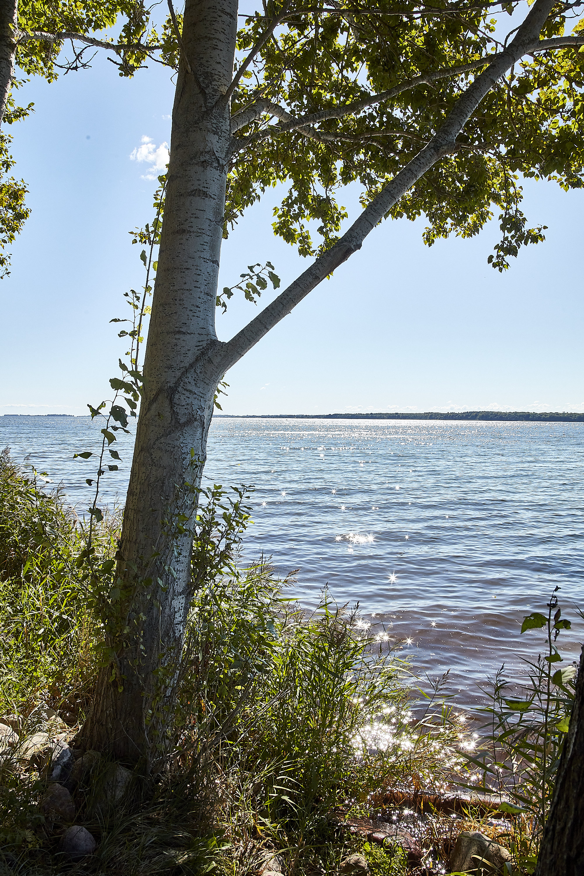 Fremhævet  billede i fuldskærmstilstand. Billede af Fjordbakken 2, 8700 Horsens