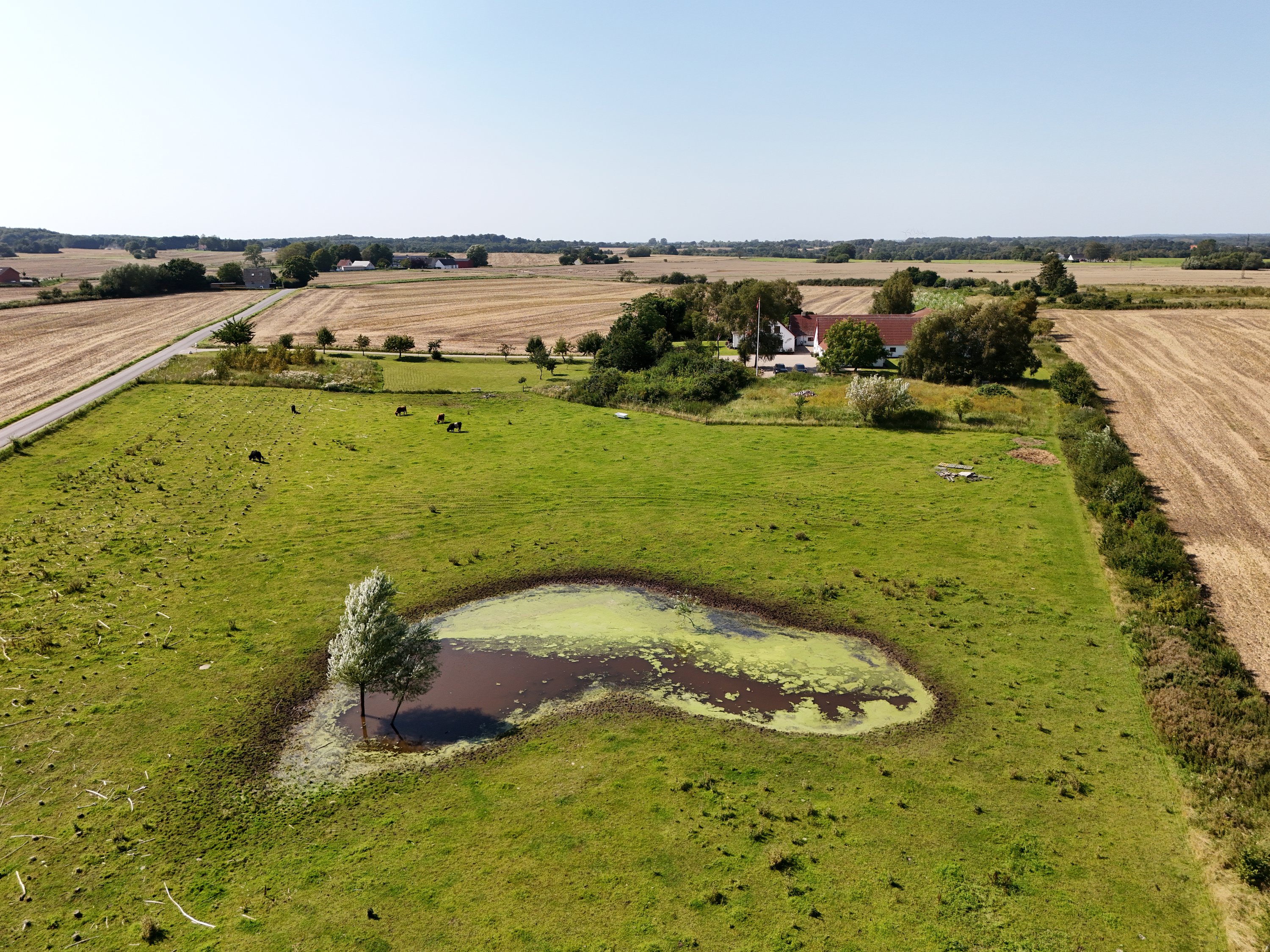 Fremhævet  billede i fuldskærmstilstand. Billede af Stenbjærgvej 12, 4180 Sorø