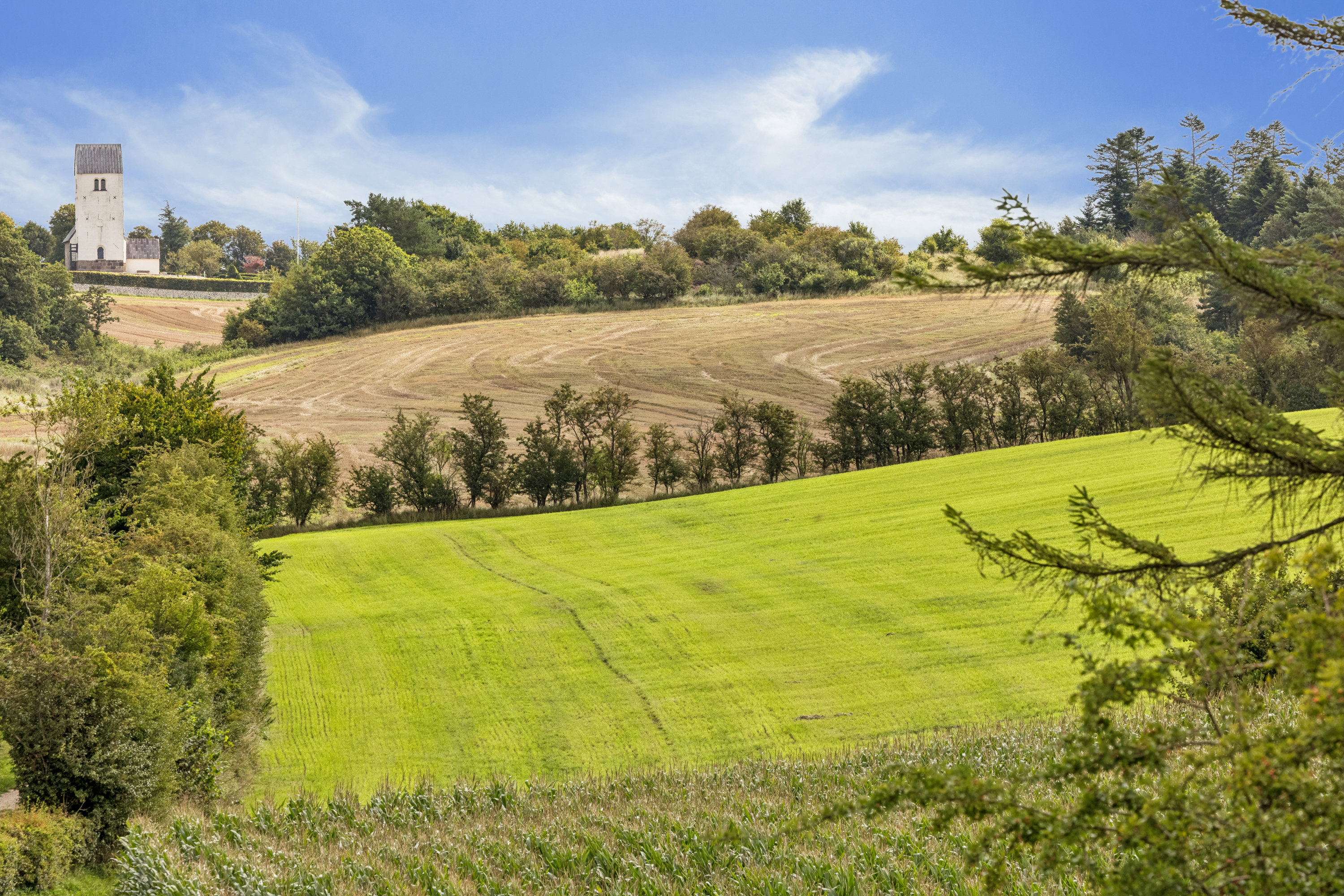 Fremhævet have billede i fuldskærmstilstand. Billede af Strandvejen 62, Hjarbæk, 8831 Løgstrup