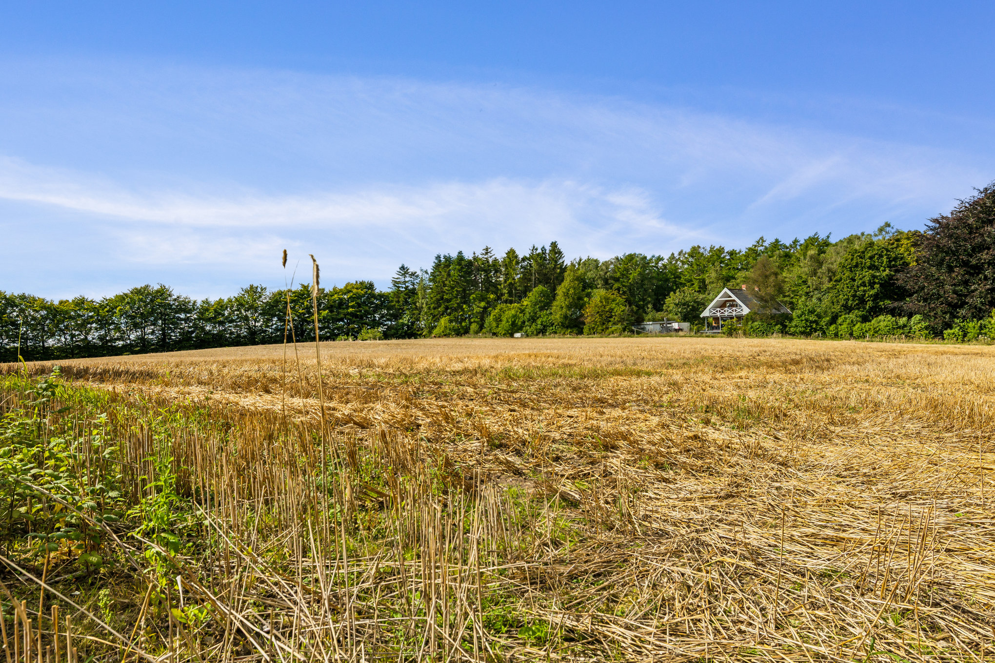 Fremhævet grund billede i fuldskærmstilstand. Billede af Læstenvej 14, Rejstrup, 8990 Fårup