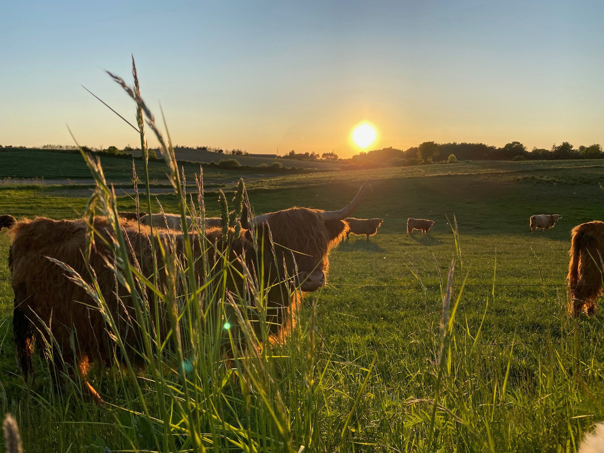 Kirkeballe 12, Horne, 5600 Faaborg