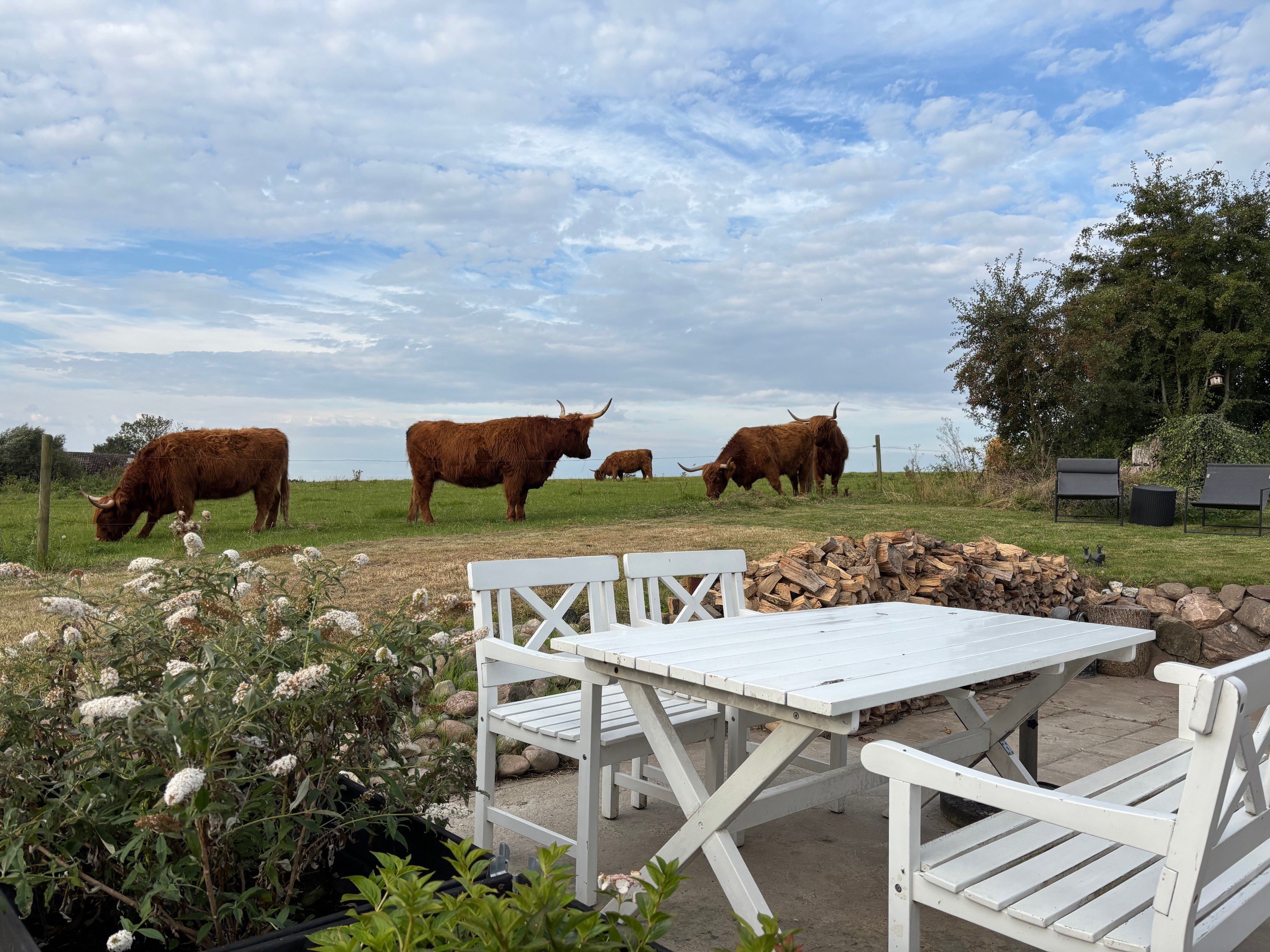 Fremhævet  billede i fuldskærmstilstand. Billede af Kirkeballe 12, Horne, 5600 Faaborg