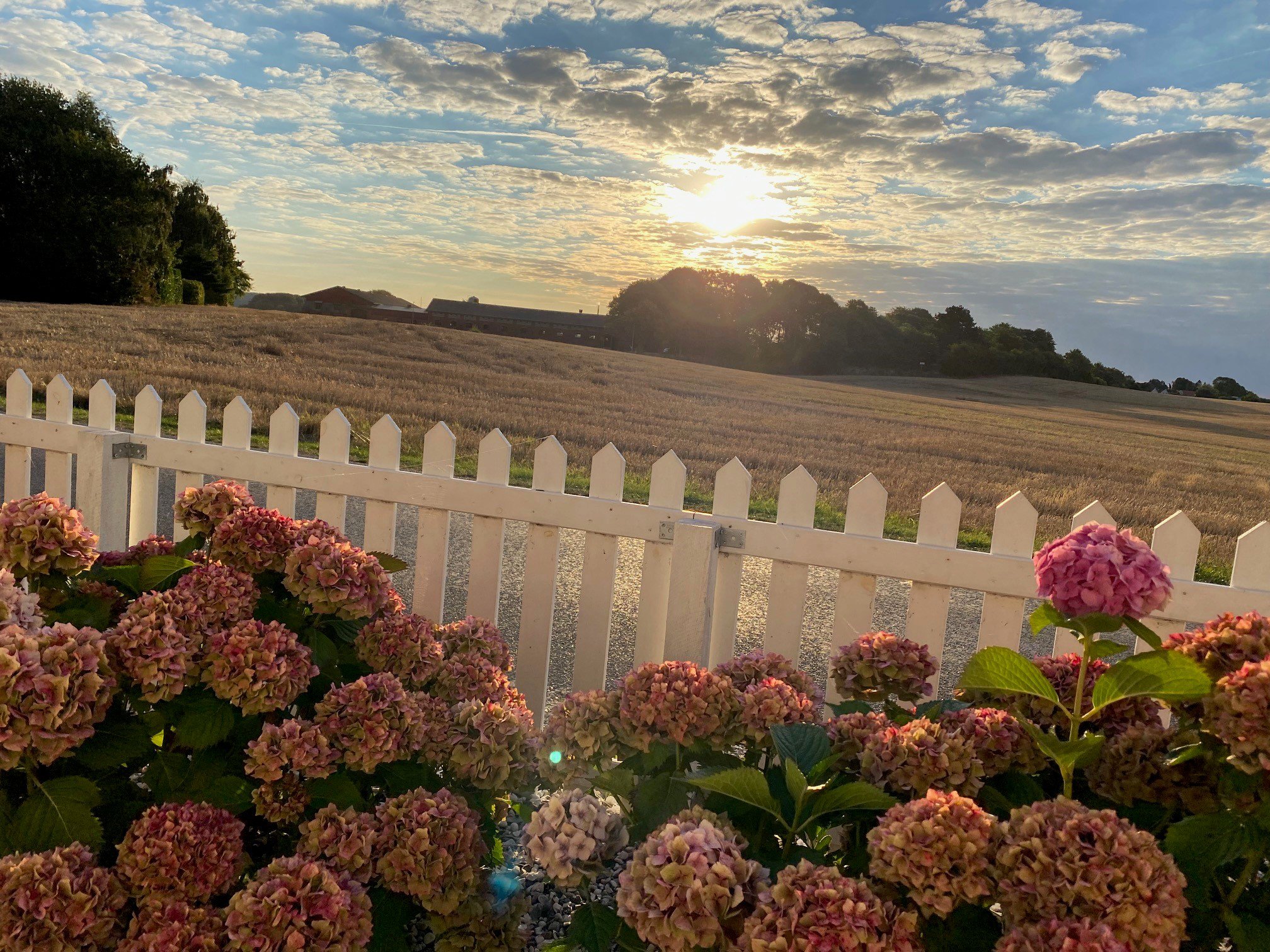 Fremhævet  billede i fuldskærmstilstand. Billede af Kirkeballe 12, Horne, 5600 Faaborg