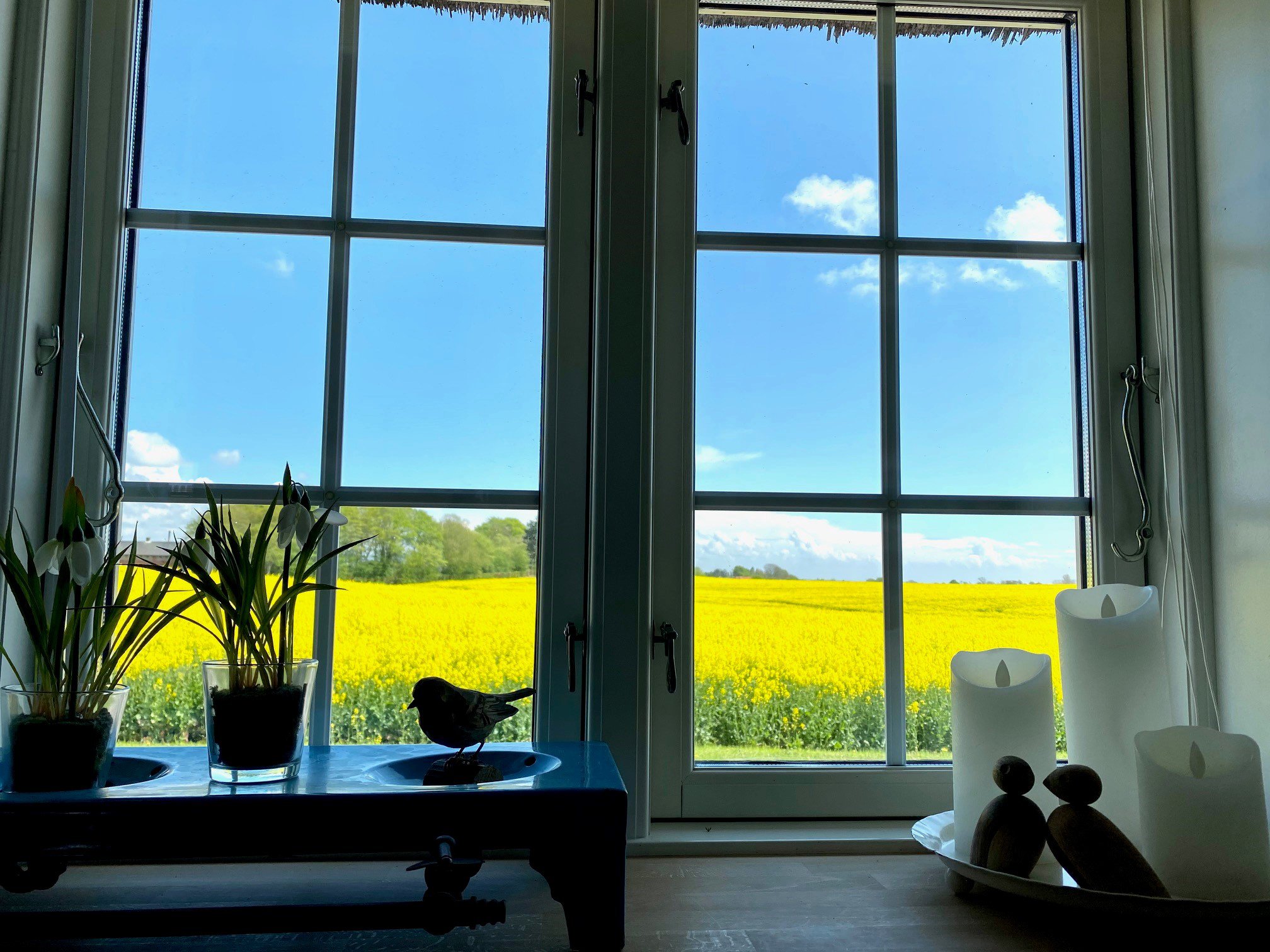 Fremhævet  billede i fuldskærmstilstand. Billede af Kirkeballe 12, Horne, 5600 Faaborg