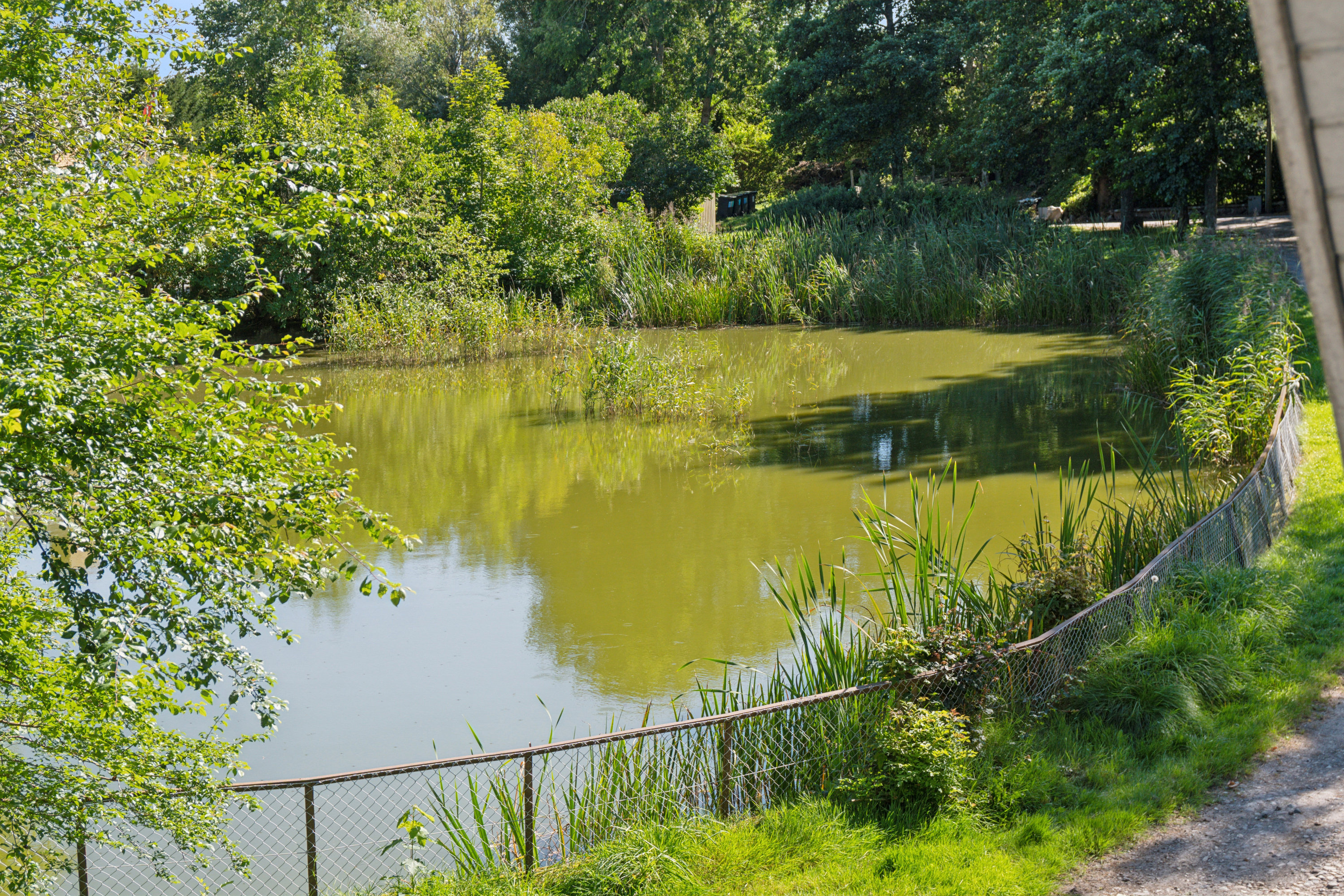 Fremhævet  billede i fuldskærmstilstand. Billede af Kærstrædet 3, Vejleby, 4050 Skibby