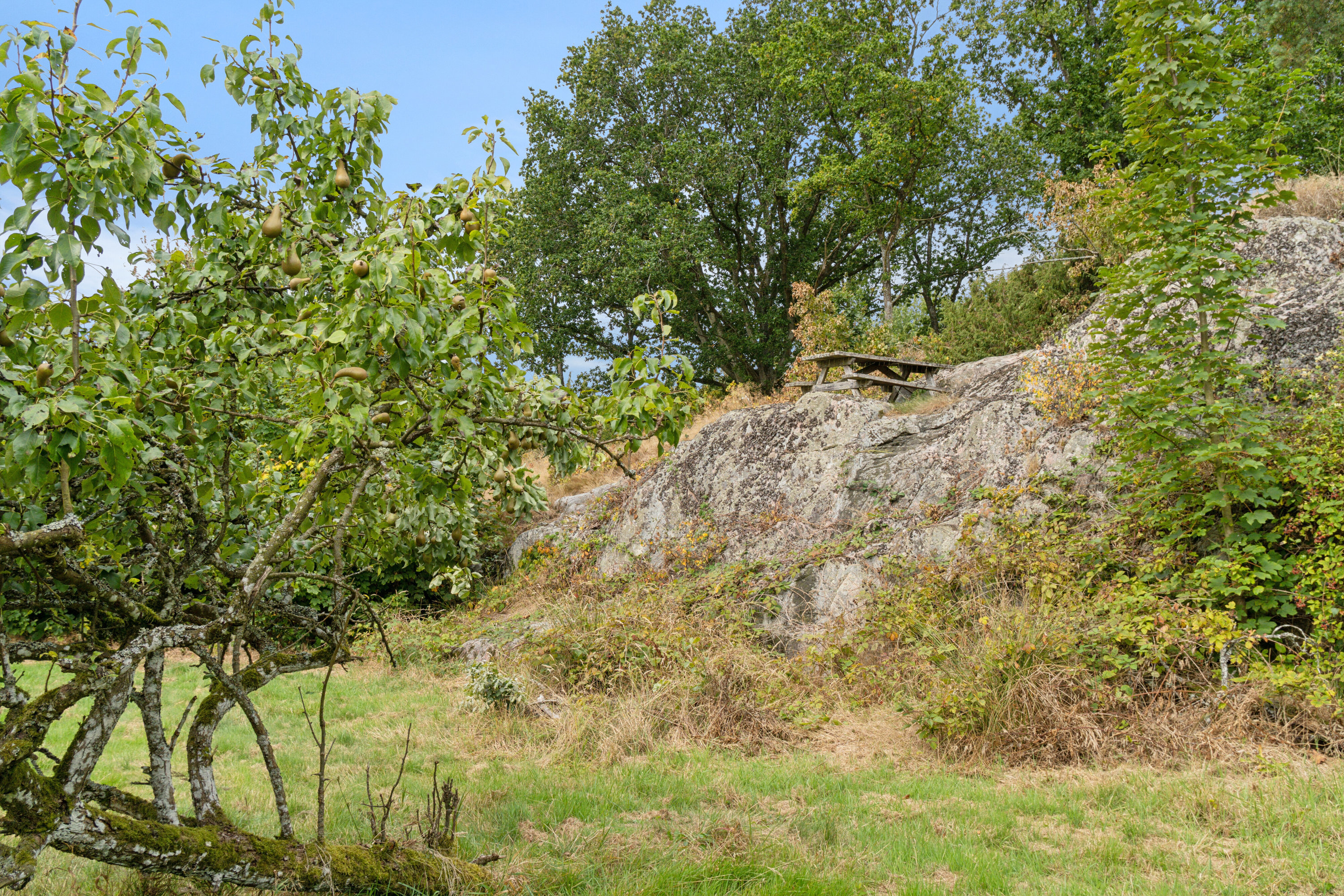Fremhævet set fra haven billede i fuldskærmstilstand. Billede af Rønnevej 70, Bodilsker, 3730 Nexø