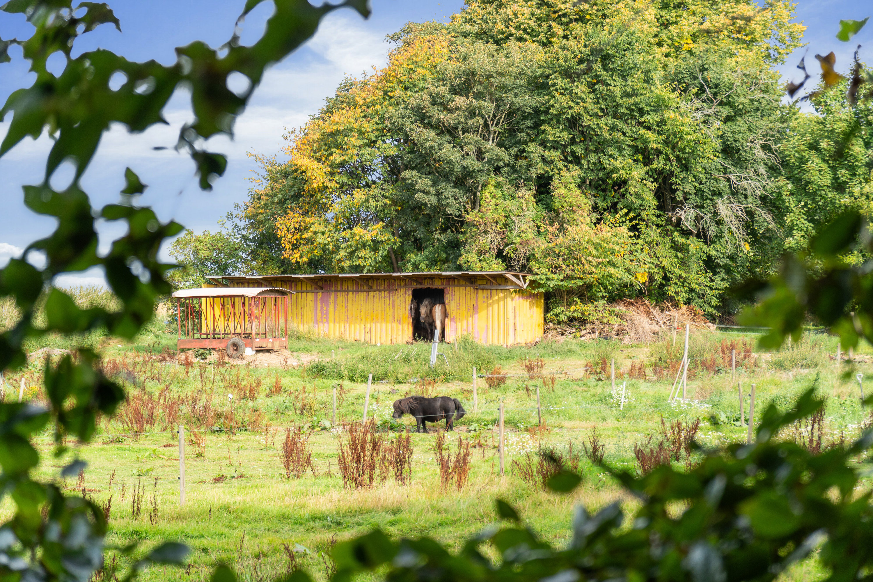 Fremhævet udsigt billede i fuldskærmstilstand. Billede af Krogsgårdsvej 13F, Hvam, 8620 Kjellerup