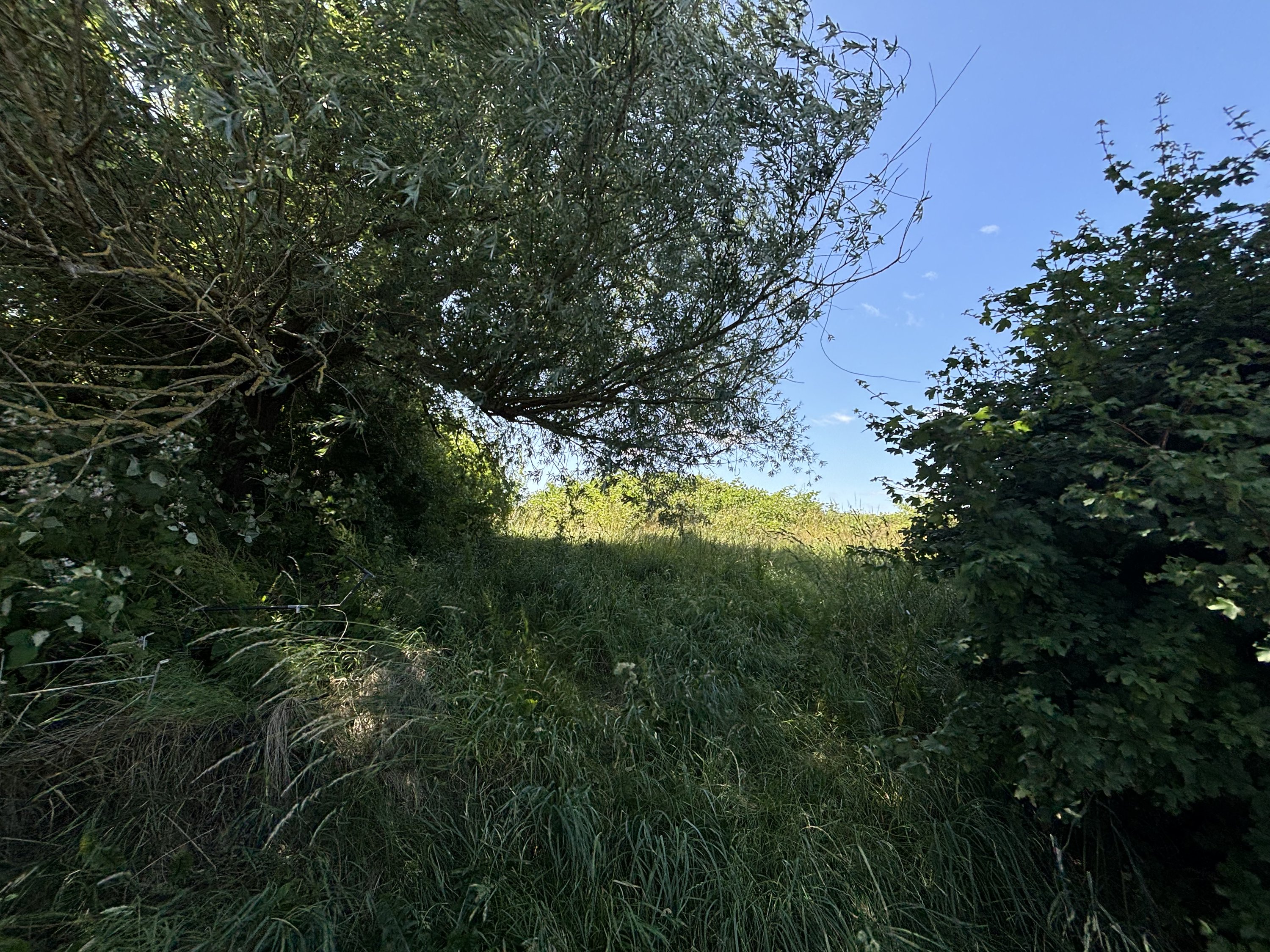 Miniaturebillede 2: . Billede af Bjeragervej 48, Bjerager, 8300 Odder