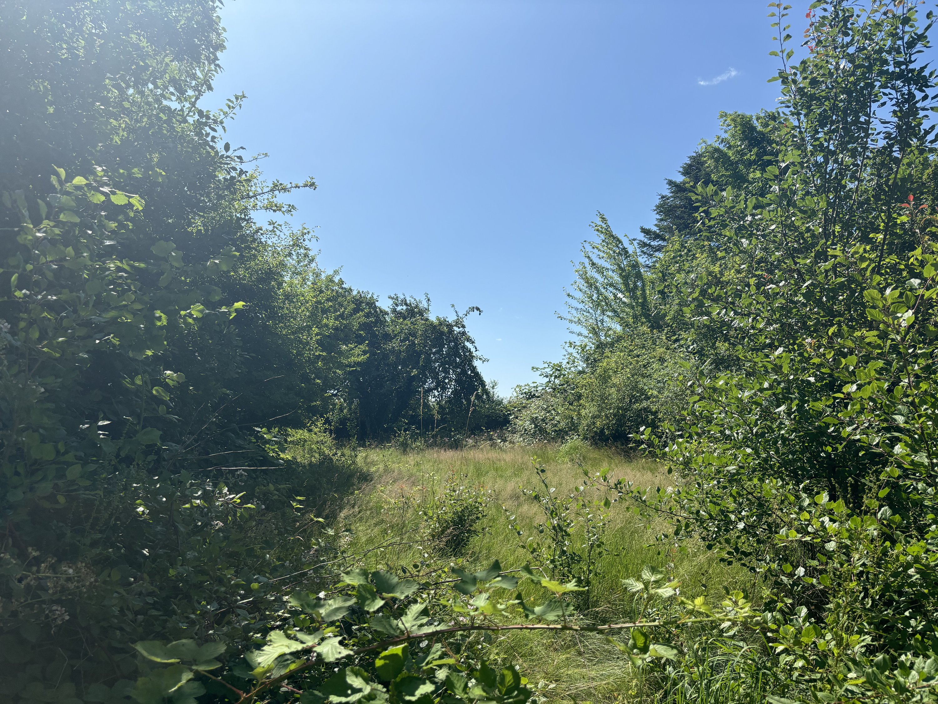 Miniaturebillede 1: . Billede af Bjeragervej 48, Bjerager, 8300 Odder