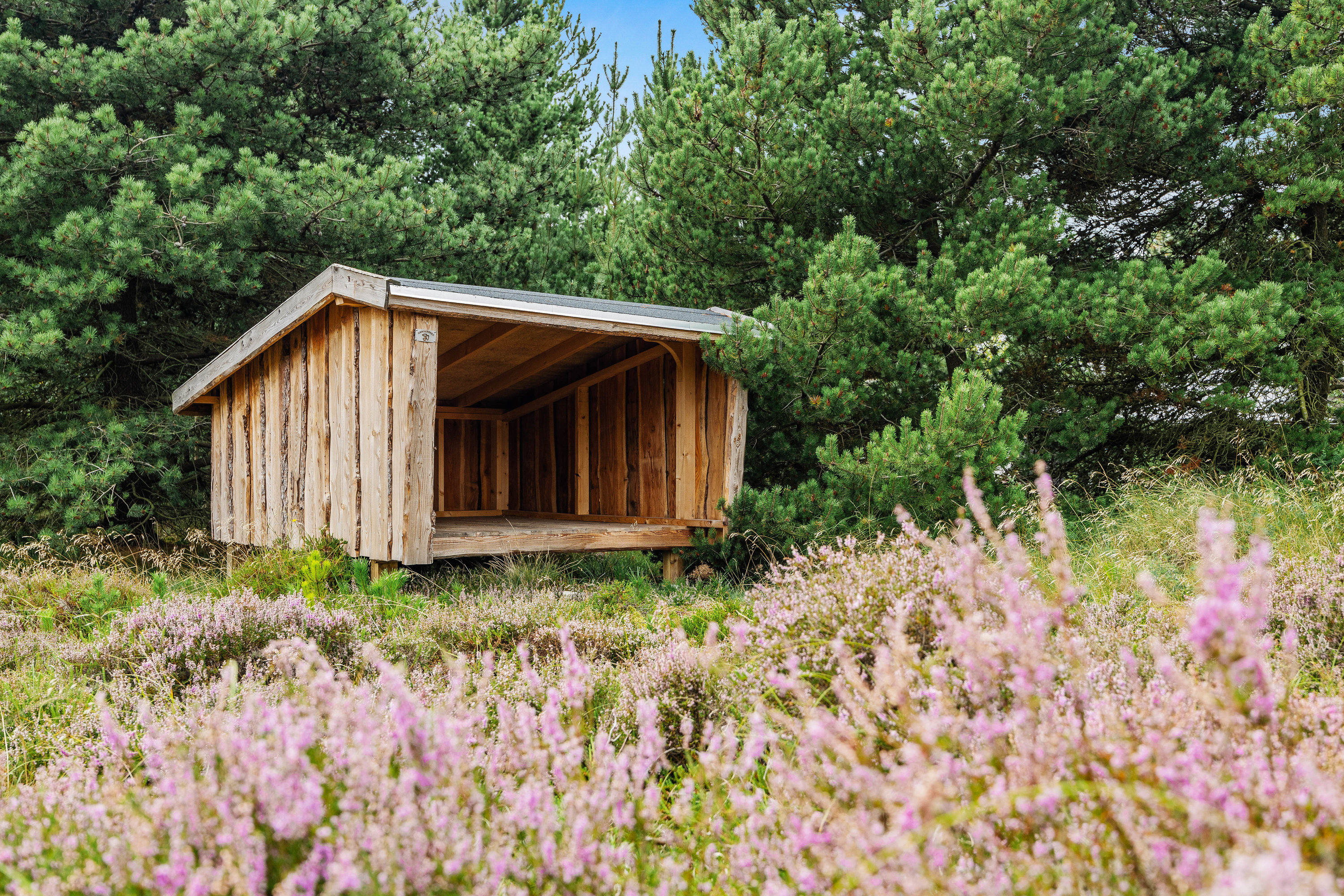 Fremhævet  billede i fuldskærmstilstand. Billede af Svinget 6, 6857 Blåvand