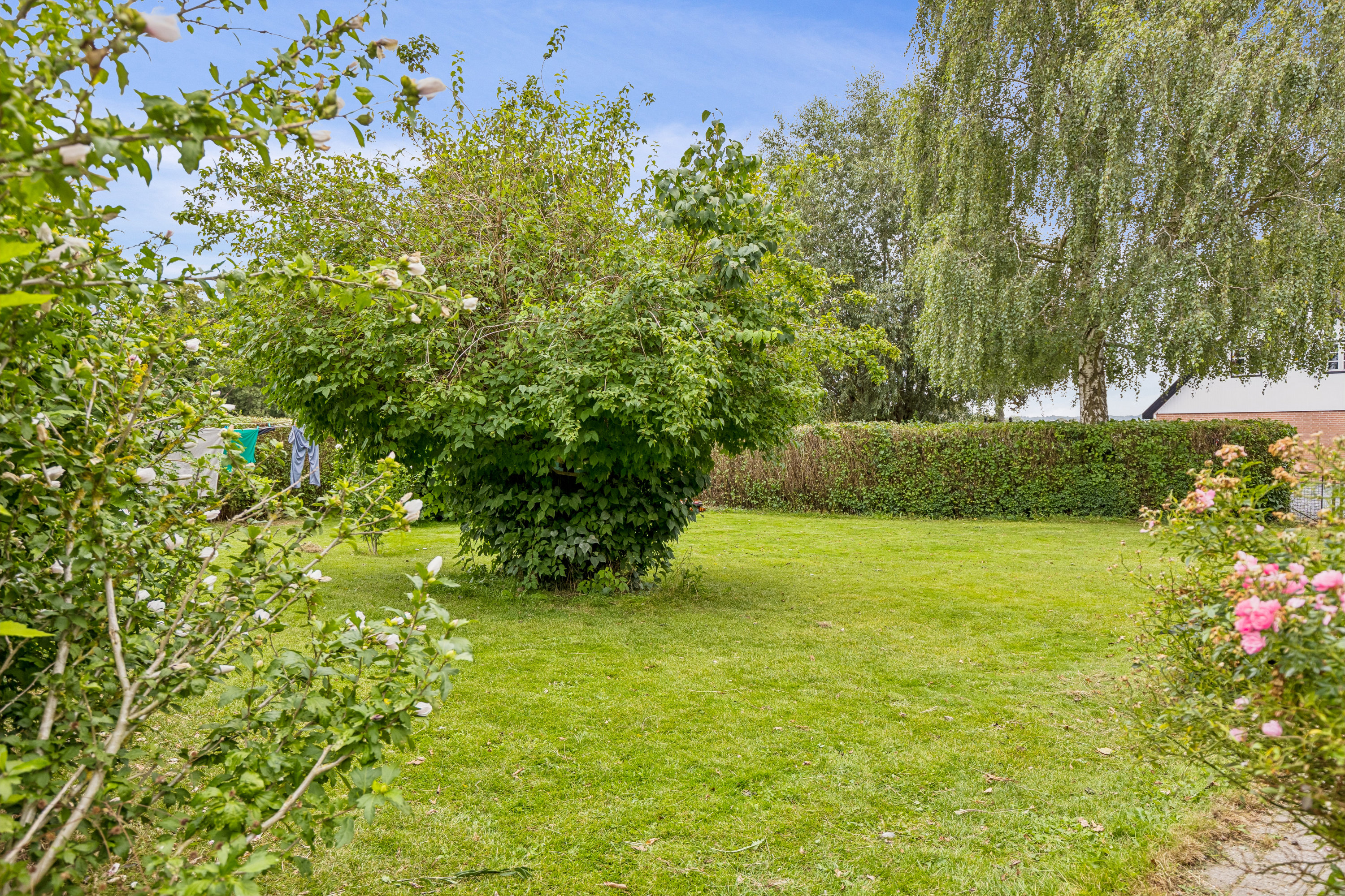 Fremhævet have billede i fuldskærmstilstand. Billede af Nykøbingvej 56, Stigs Bjergby, 4440 Mørkøv