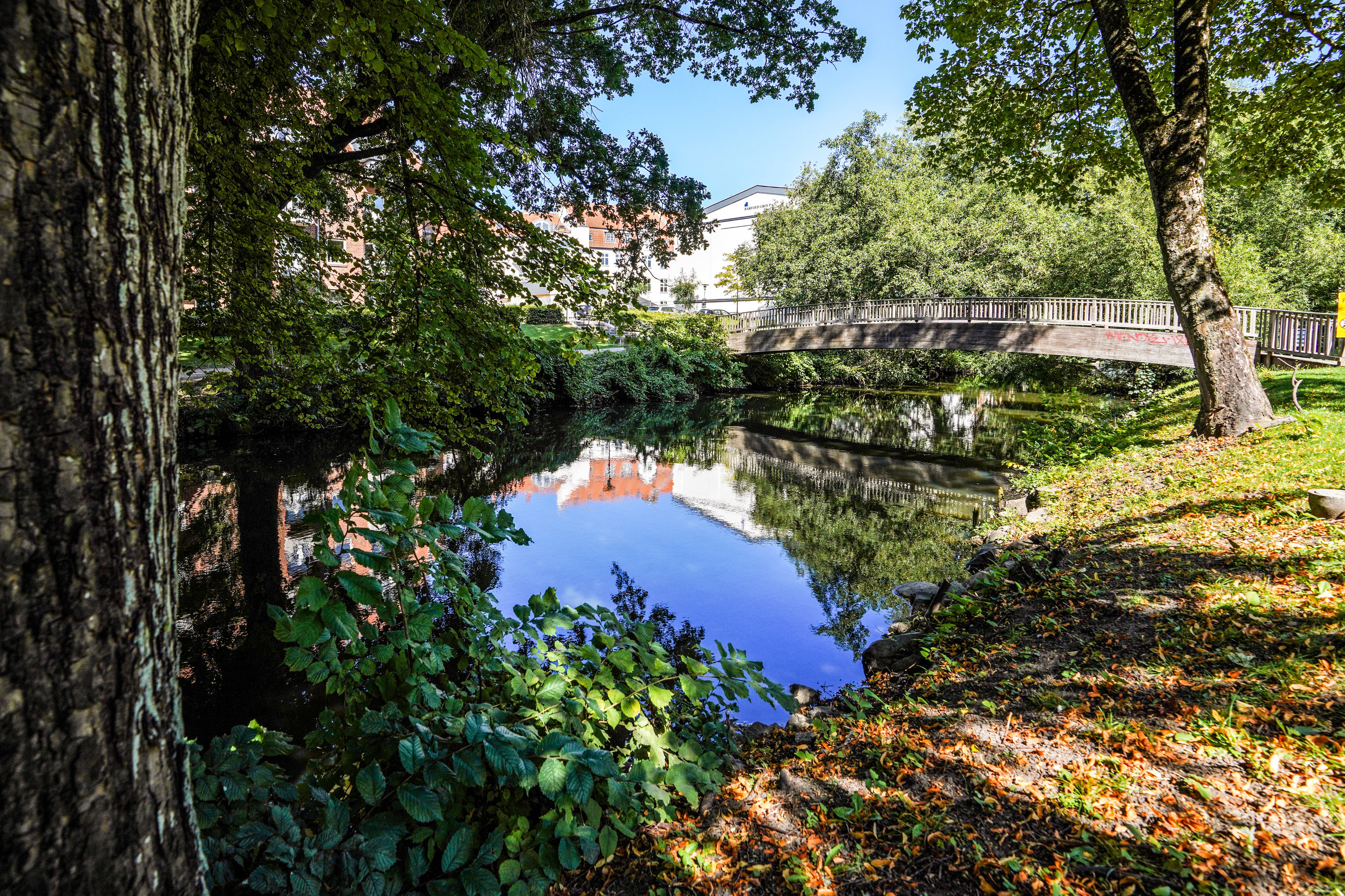 Fremhævet have billede i fuldskærmstilstand. Billede af Karen Brahes Vej 7, 4. tv., 5000 Odense C