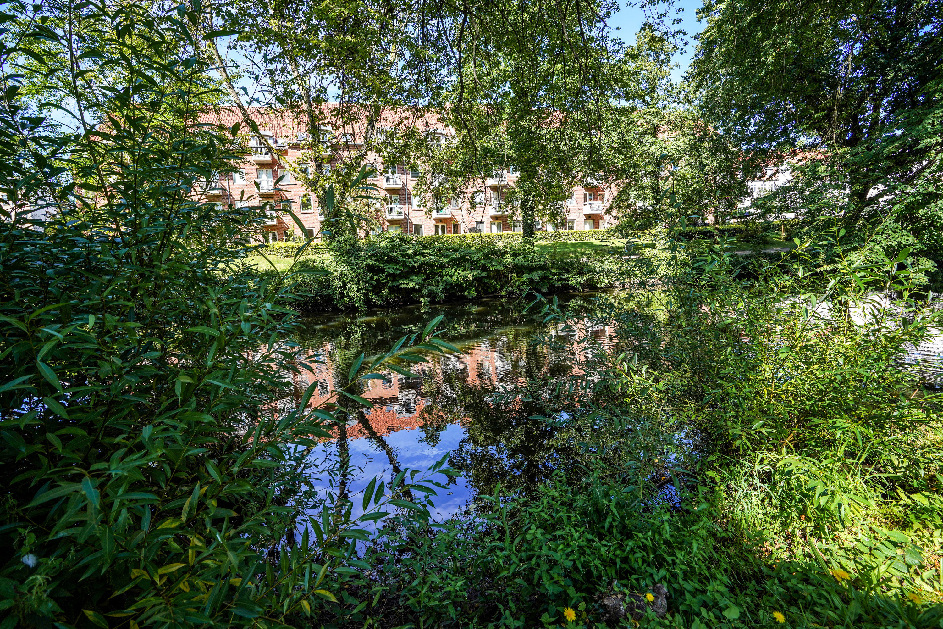 Fremhævet have billede i fuldskærmstilstand. Billede af Karen Brahes Vej 7, 4. tv., 5000 Odense C