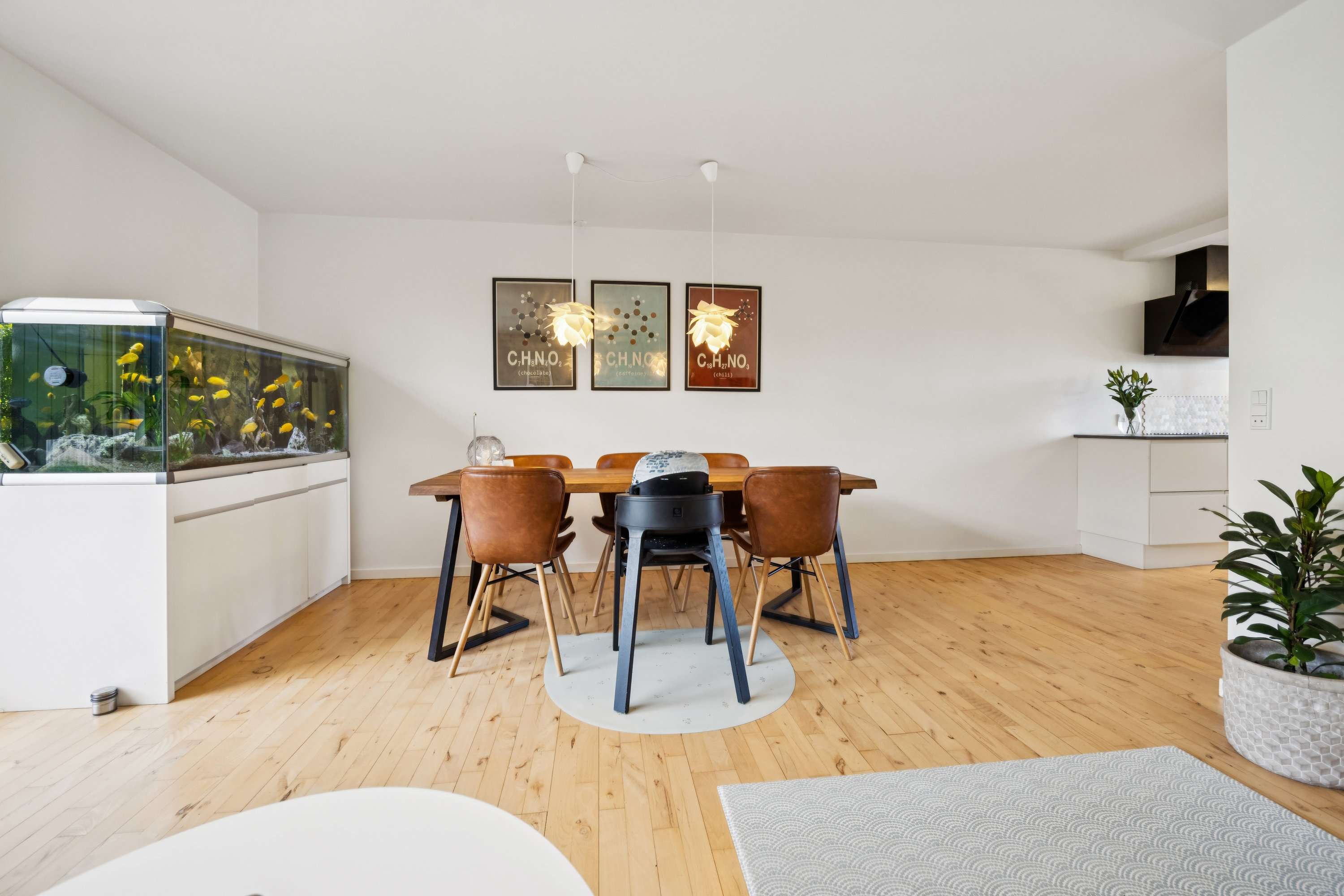 Fremhævet stue billede i fuldskærmstilstand. Billede af Godske Lindenovs Vej 203, Gug, 9210 Aalborg SØ