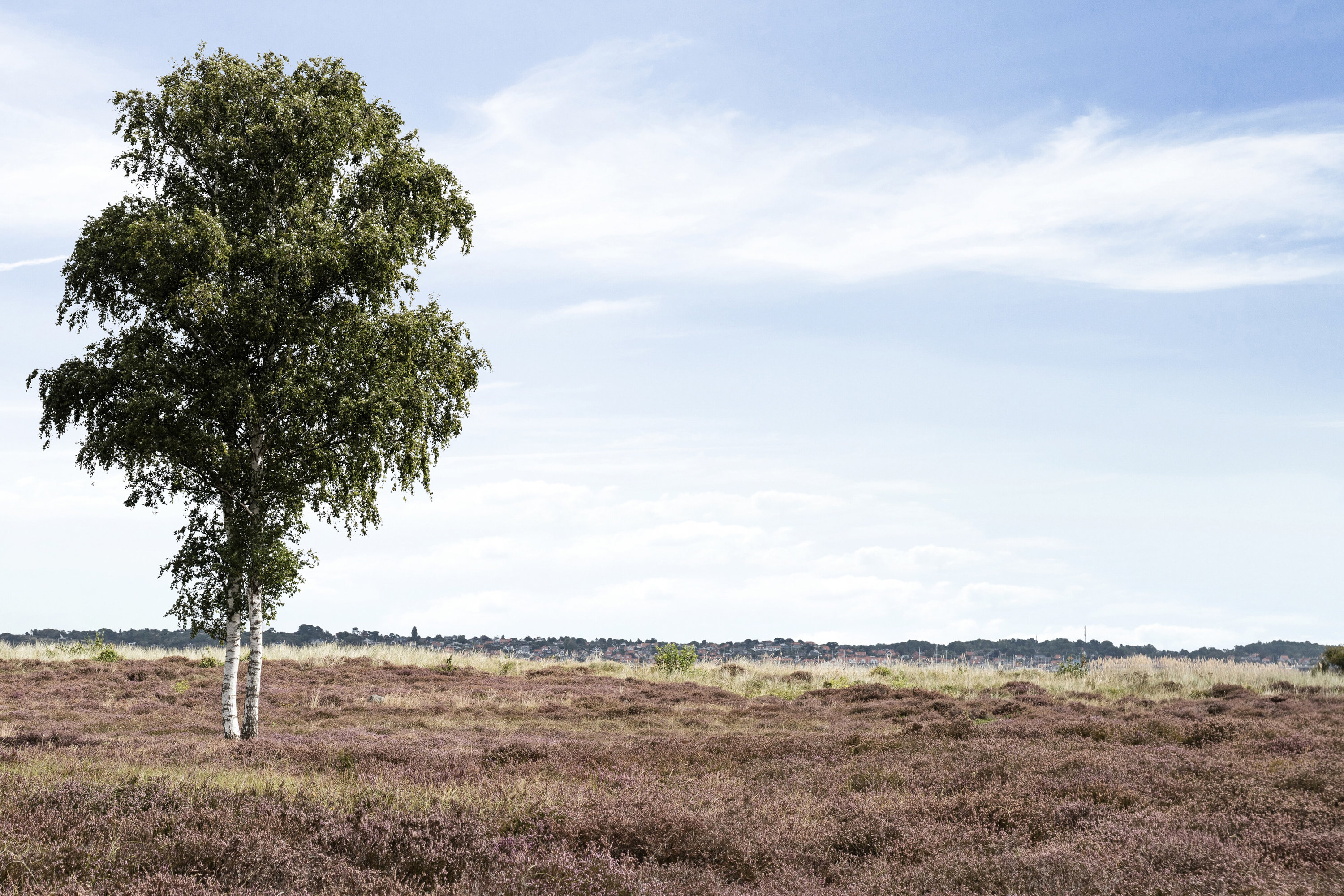 Fremhævet udendørs billede i fuldskærmstilstand. Billede af Langesøvej 56, 4581 Rørvig