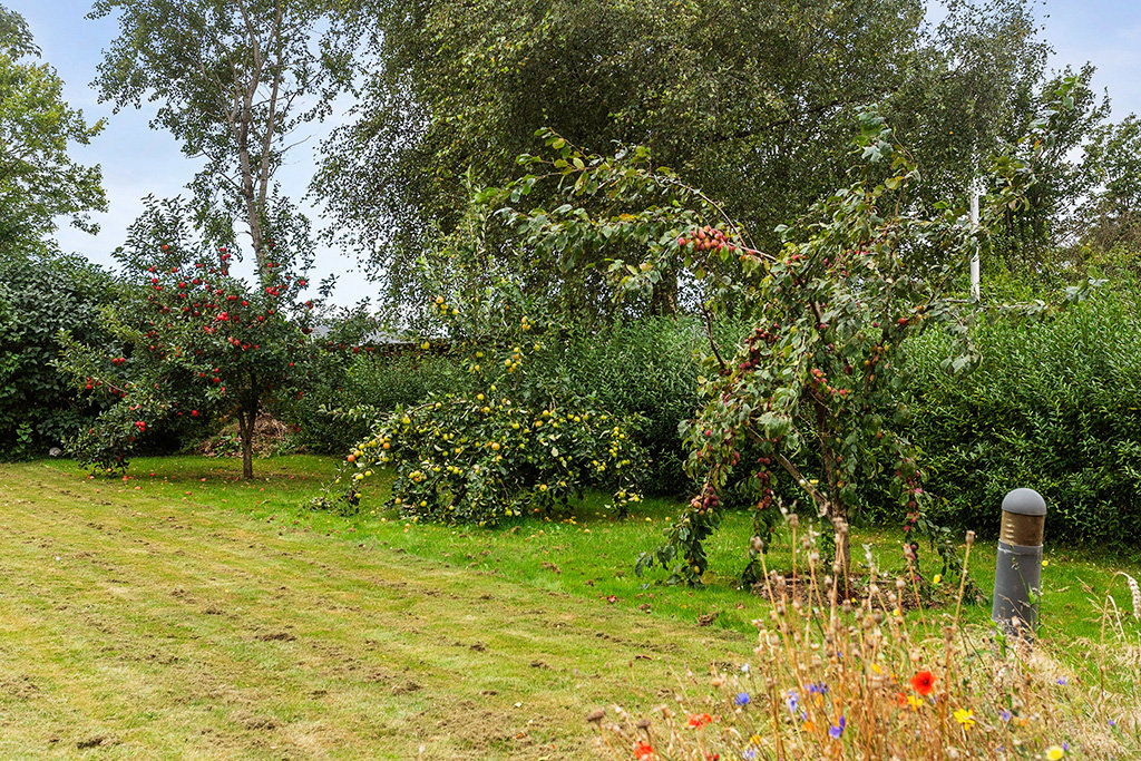 Fremhævet område billede i fuldskærmstilstand. Billede af Vestergade 25, 6650 Brørup