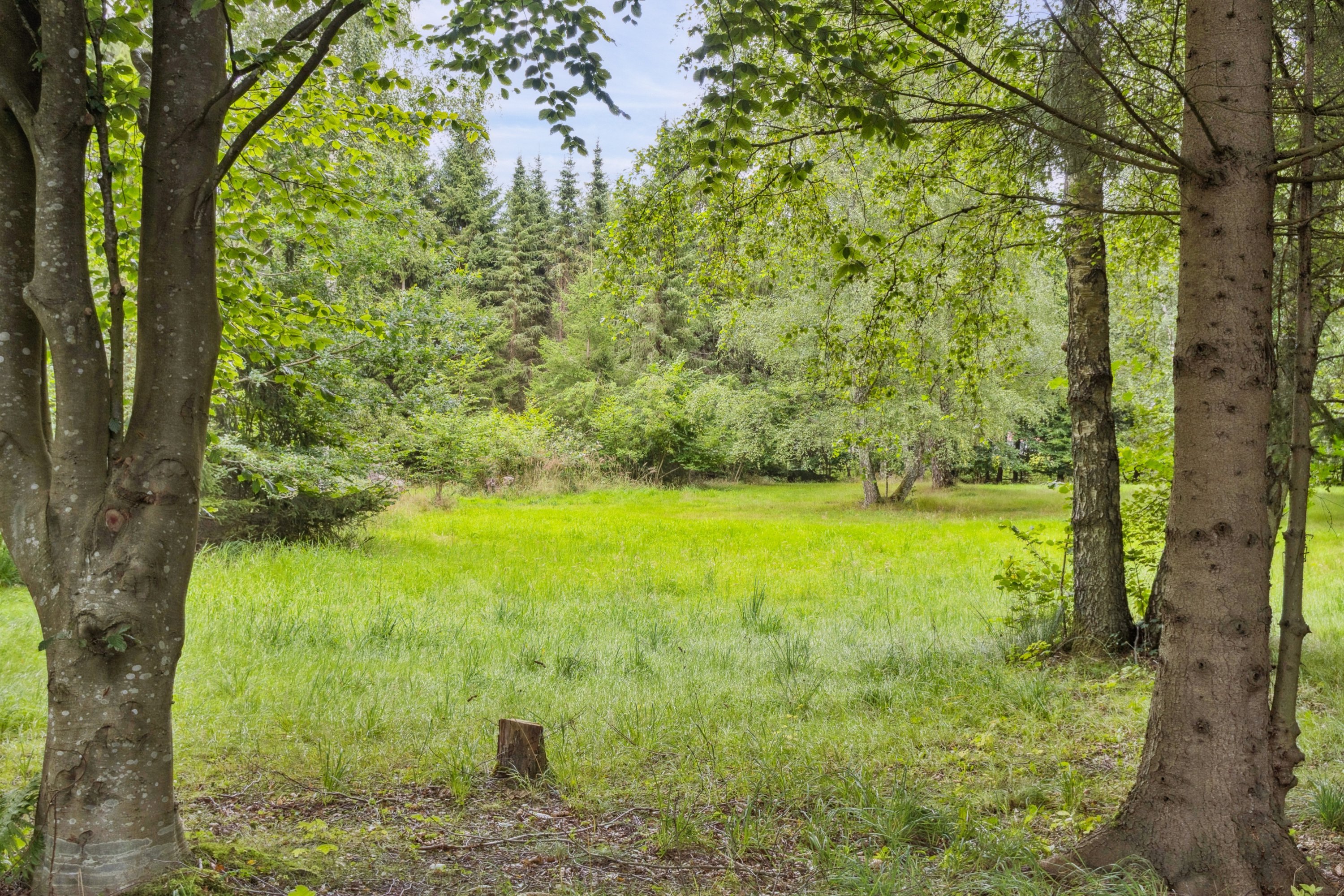 Fremhævet område billede i fuldskærmstilstand. Billede af Gurrevej 318, Gurre, 3000 Helsingør