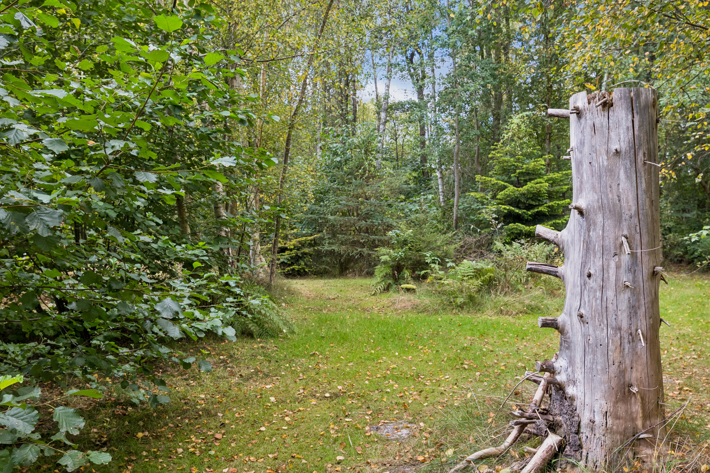 Fremhævet  billede i fuldskærmstilstand. Billede af Sommerland 108, Odde, 9560 Hadsund
