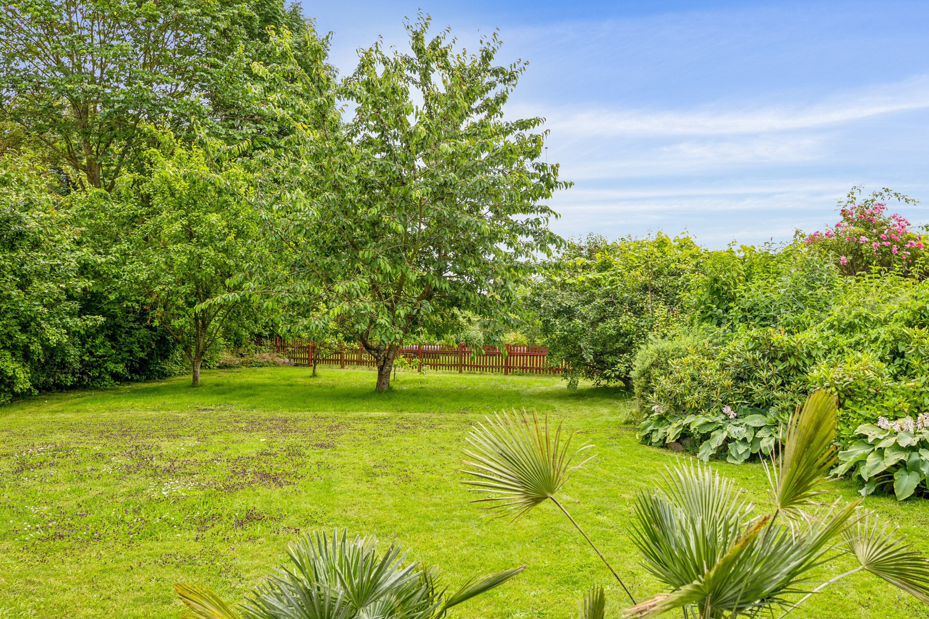 Fremhævet have billede i fuldskærmstilstand. Billede af Borgergade 7C, Magleby, 4672 Klippinge