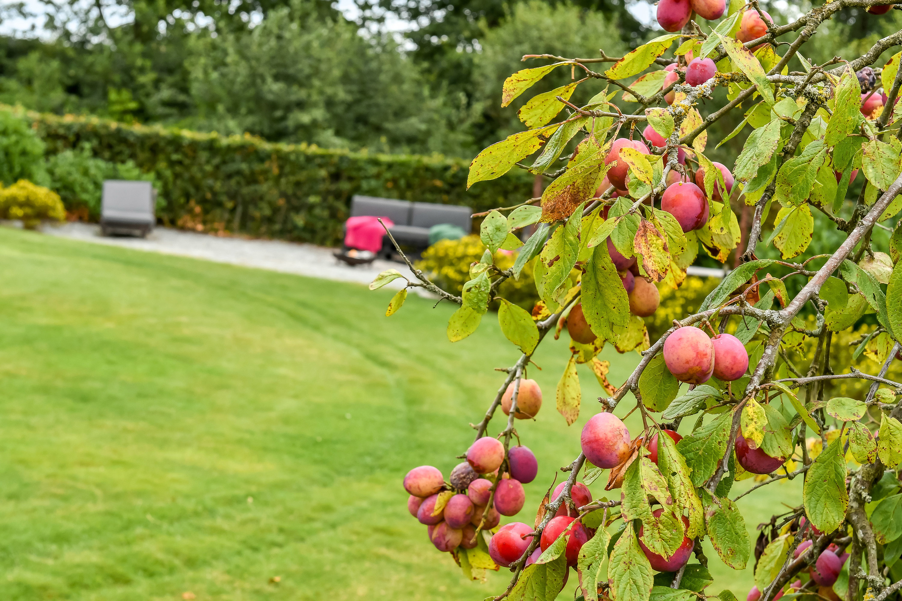 Fremhævet have billede i fuldskærmstilstand. Billede af Engsøparken 111, 7200 Grindsted